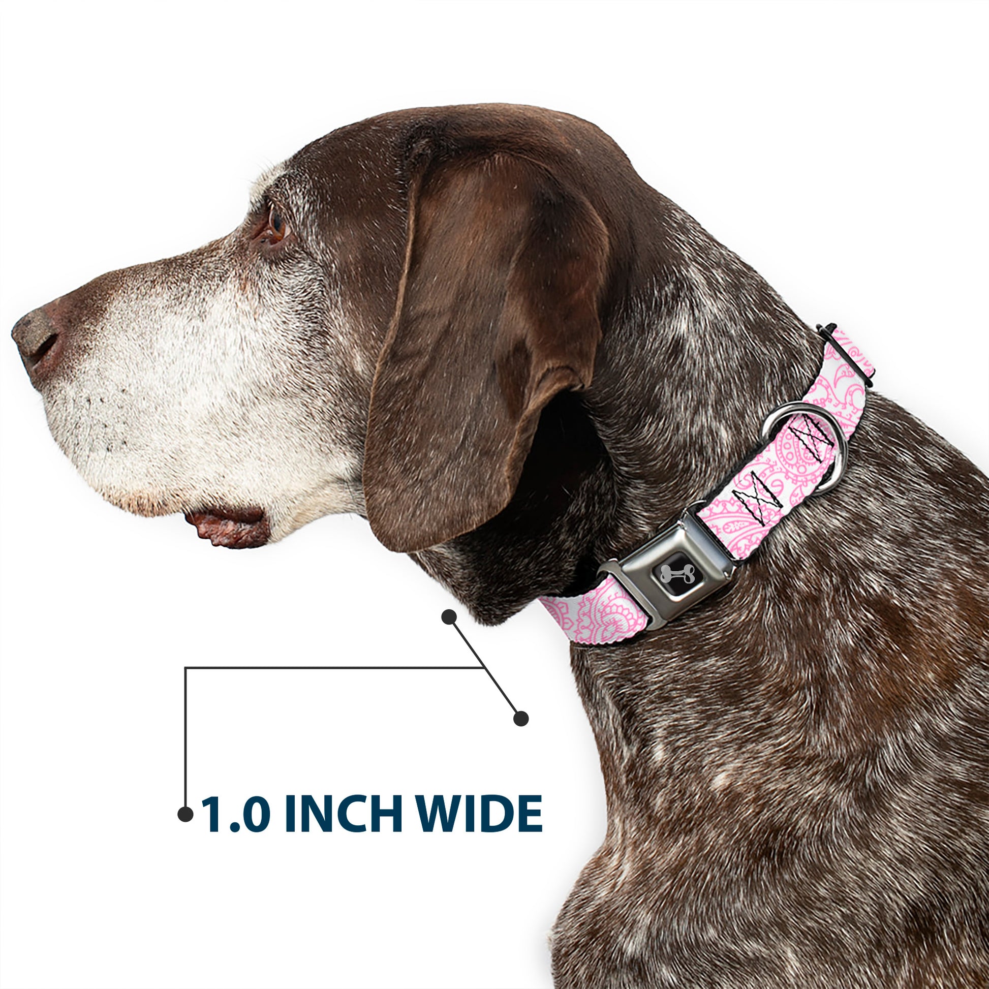 Dog Bone Seatbelt Buckle Collar - Bandana/Skulls White/Pink Seatbelt Buckle Collars Buckle-Down