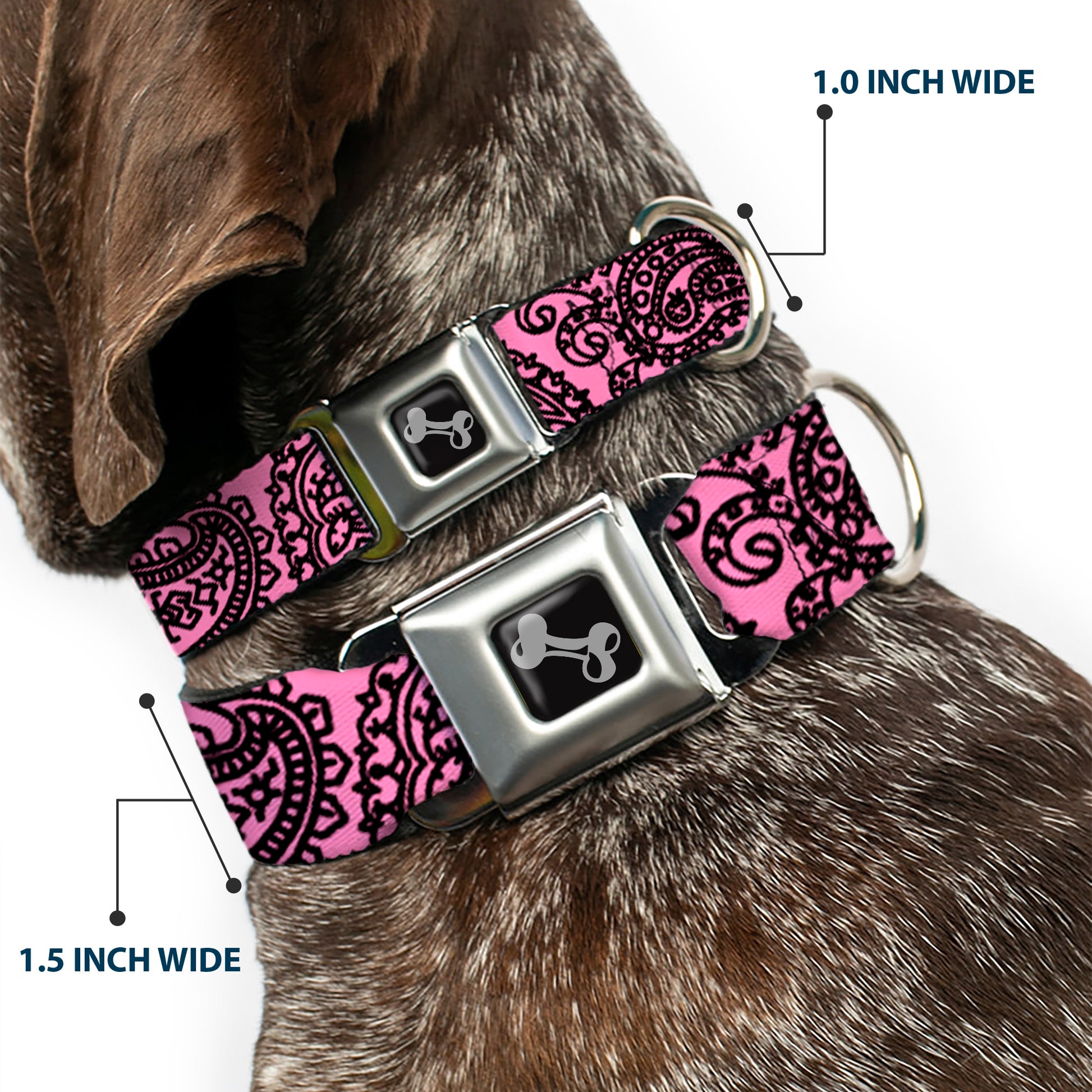 Dog Bone Seatbelt Buckle Collar - Bandana/Skulls Pink/Black Seatbelt Buckle Collars Buckle-Down