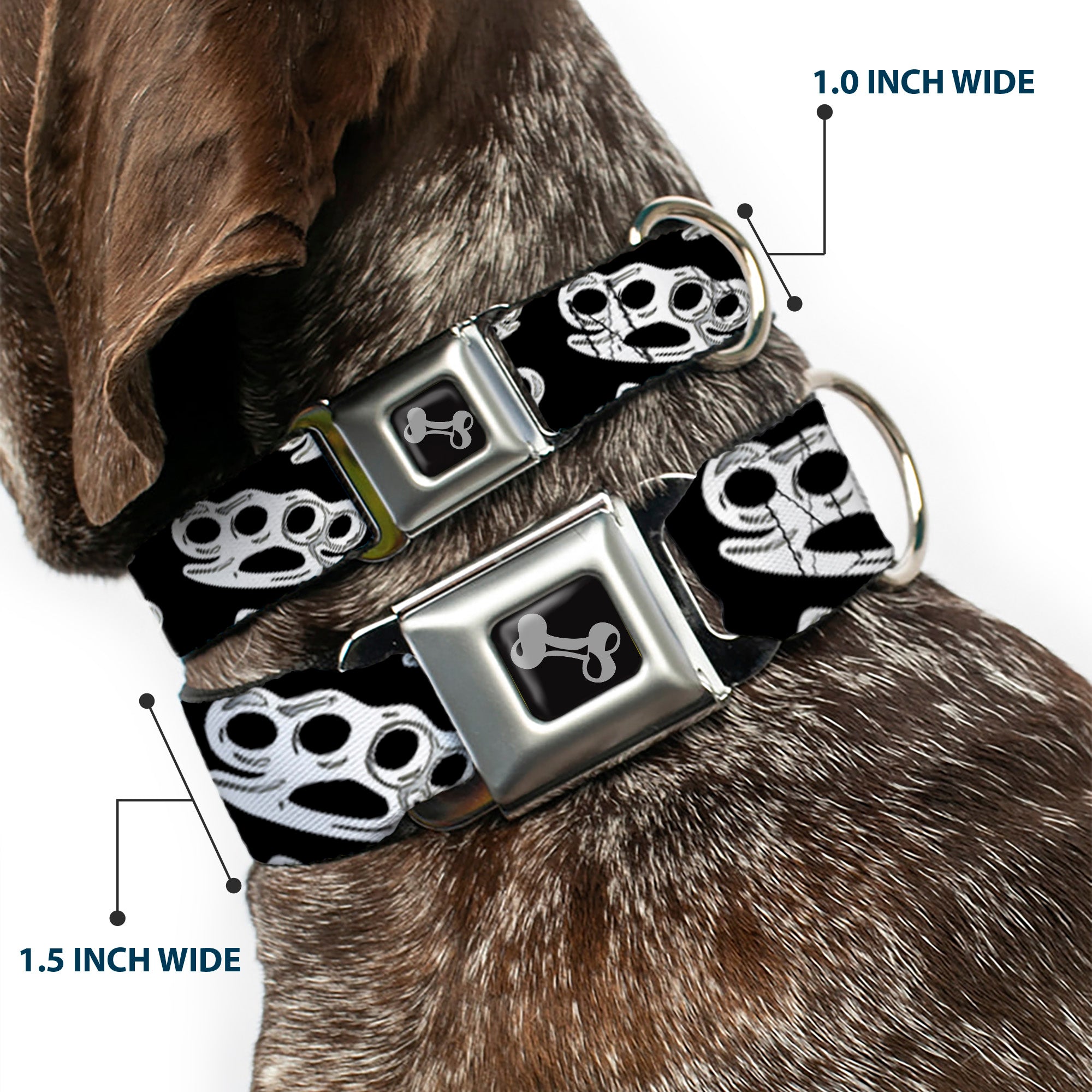 Buckle-Down Seatbelt Buckle Dog Collar - Brass Knuckles Black/White Seatbelt Buckle Collars Buckle-Down