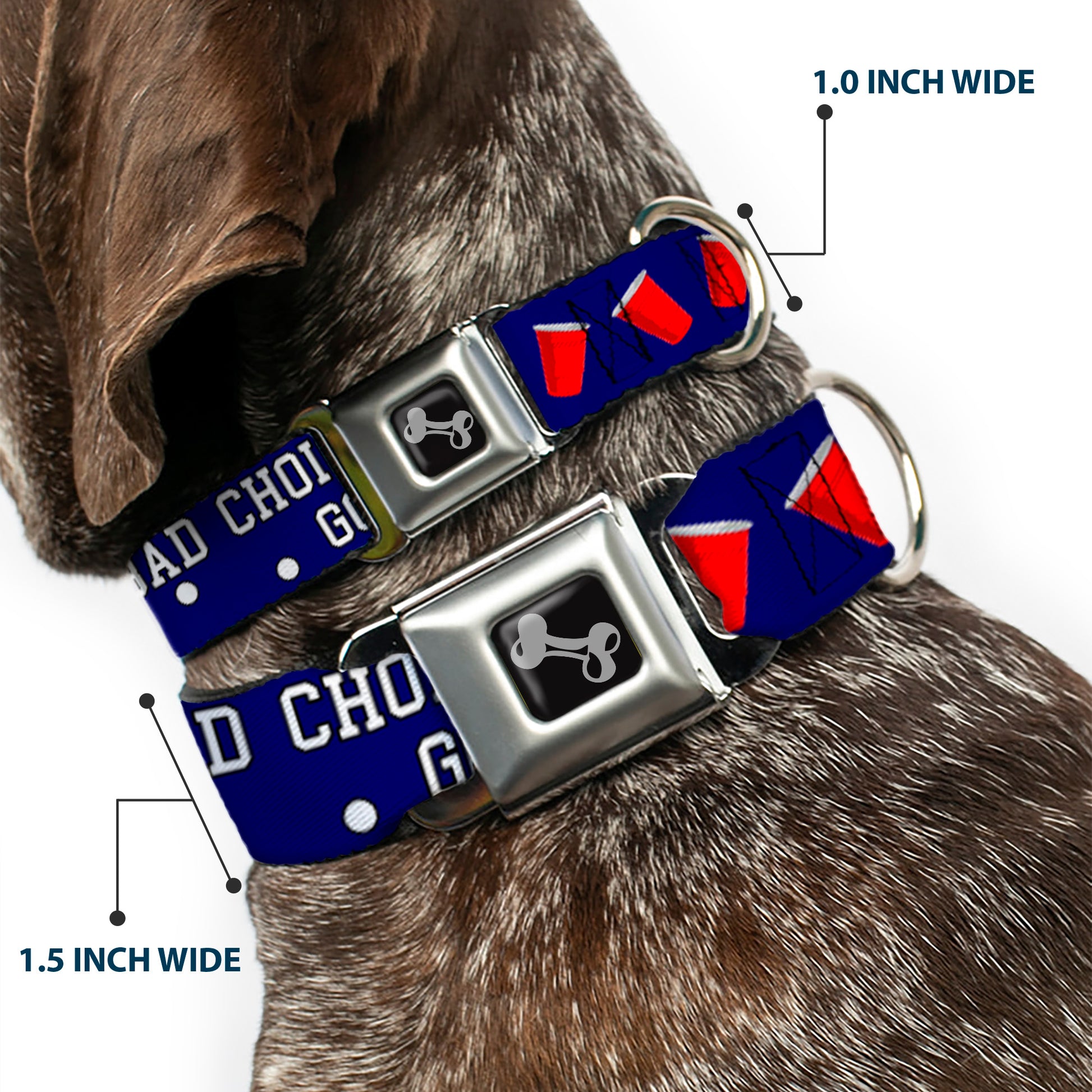 Buckle-Down Seatbelt Buckle Dog Collar - Beer Pong BAD CHOICES CREATE GOOD STORIES Blue/White/Red Seatbelt Buckle Collars Buckle-Down