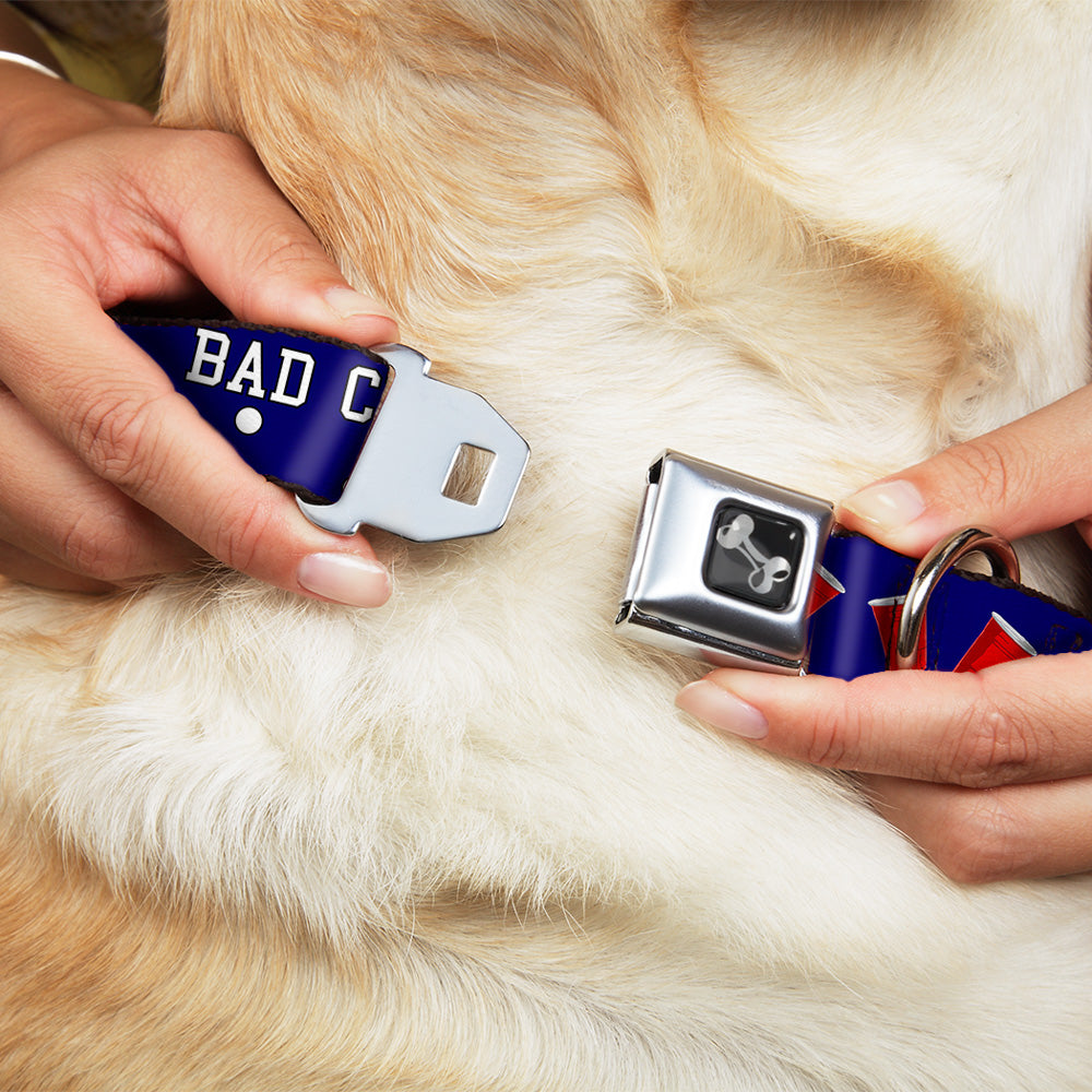 Buckle-Down Seatbelt Buckle Dog Collar - Beer Pong BAD CHOICES CREATE GOOD STORIES Blue/White/Red Seatbelt Buckle Collars Buckle-Down