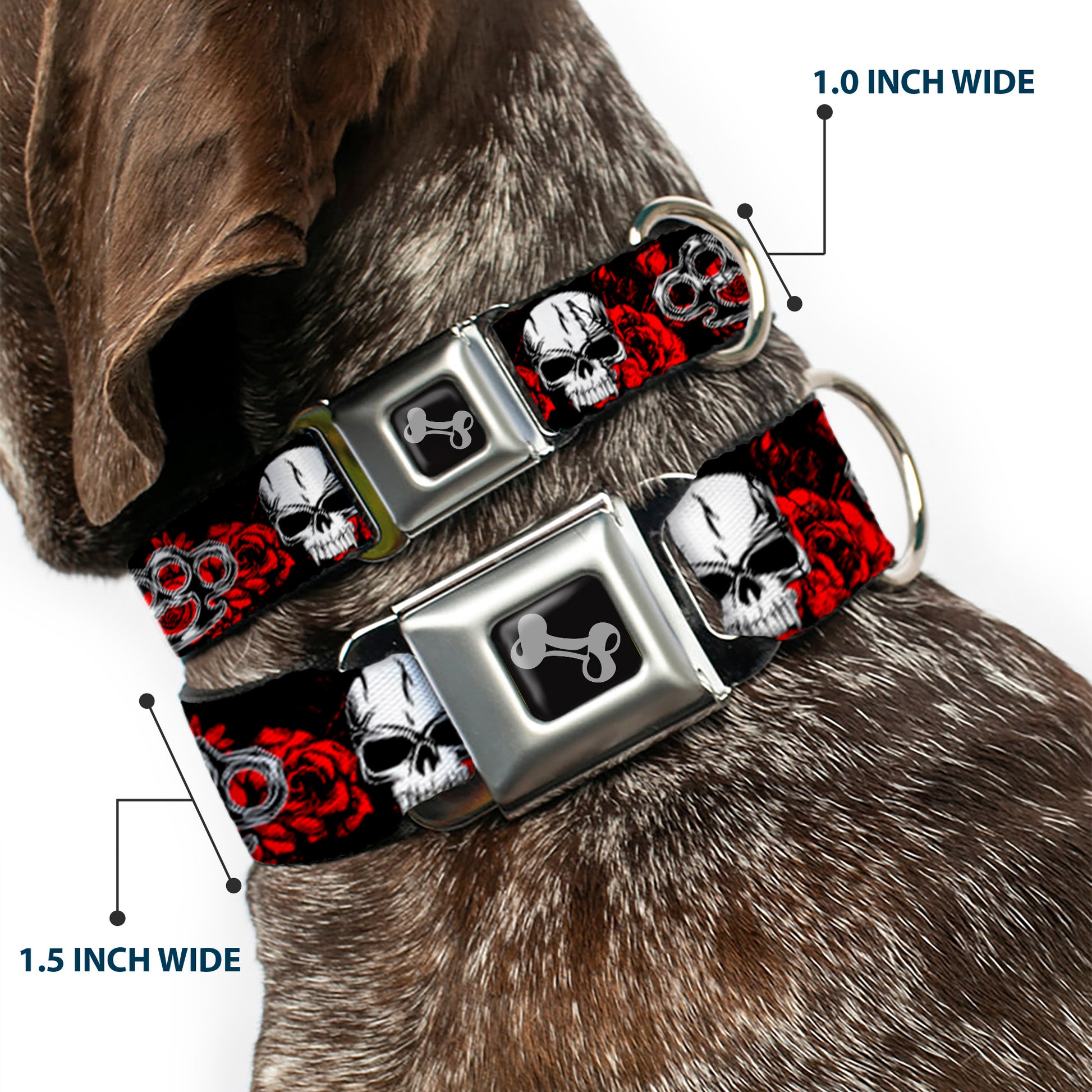 Buckle-Down Seatbelt Buckle Dog Collar - Brass Knuckles/Skulls/Roses Black/Red/White Seatbelt Buckle Collars Buckle-Down