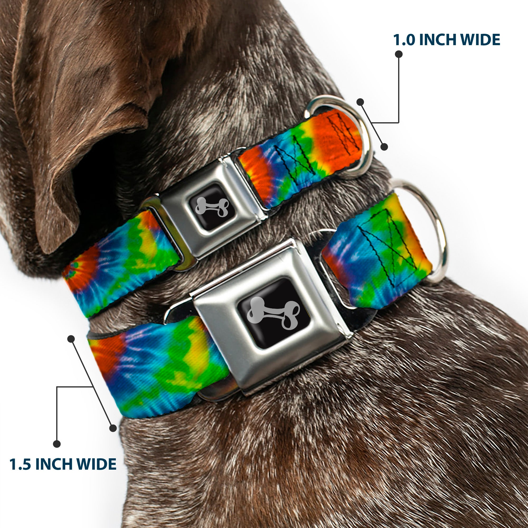 Dog Bone Seatbelt Buckle Collar - BD Tie Dye13 Seatbelt Buckle Collars Buckle-Down