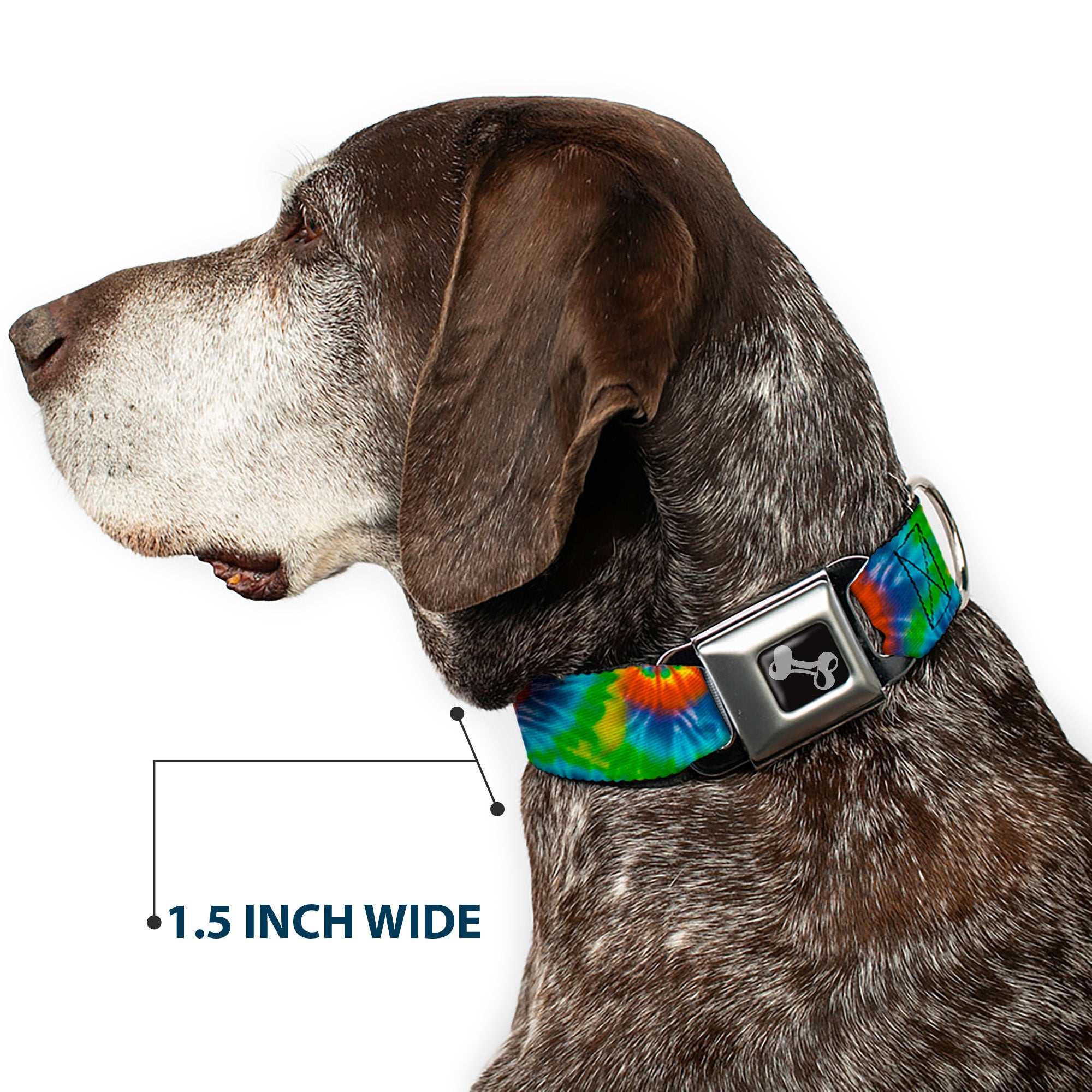 Dog Bone Seatbelt Buckle Collar - BD Tie Dye13 Seatbelt Buckle Collars Buckle-Down