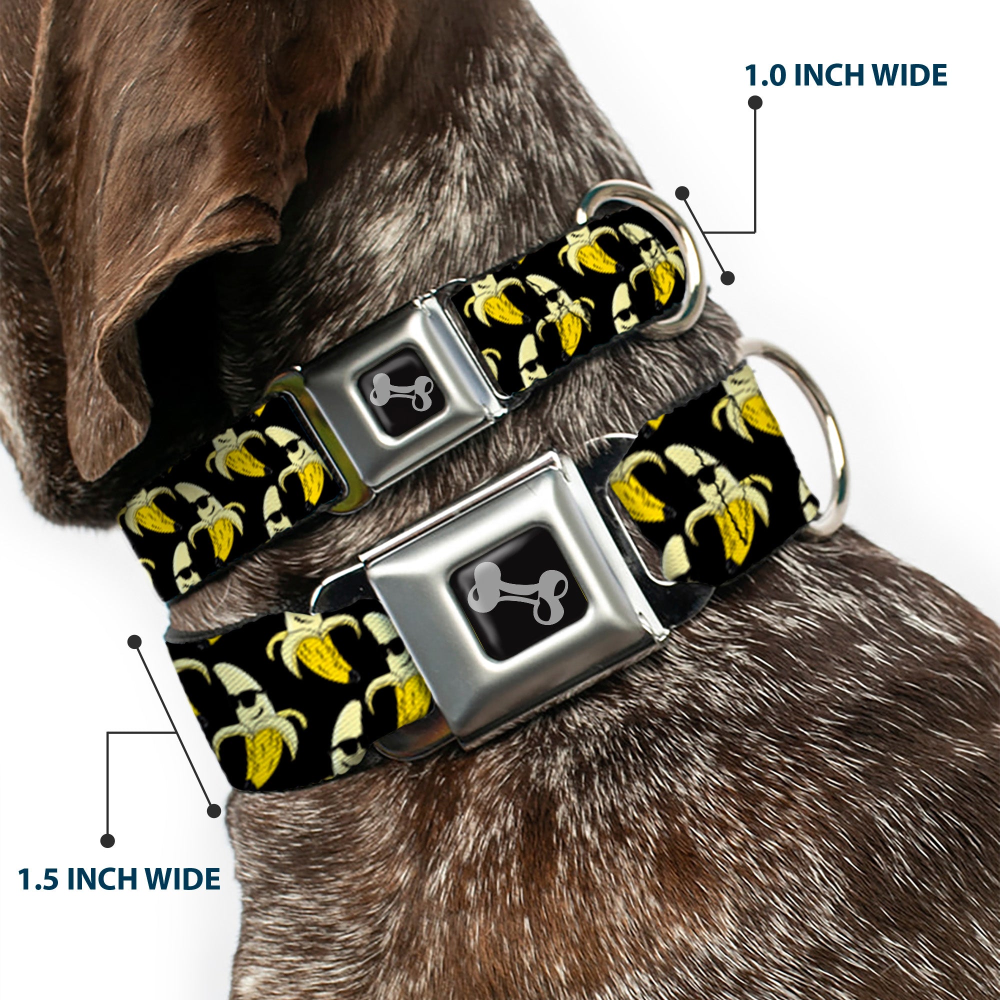 Dog Bone Seatbelt Buckle Collar - Banana Peeled w/Sunglasses Black/Yellow Seatbelt Buckle Collars Buckle-Down
