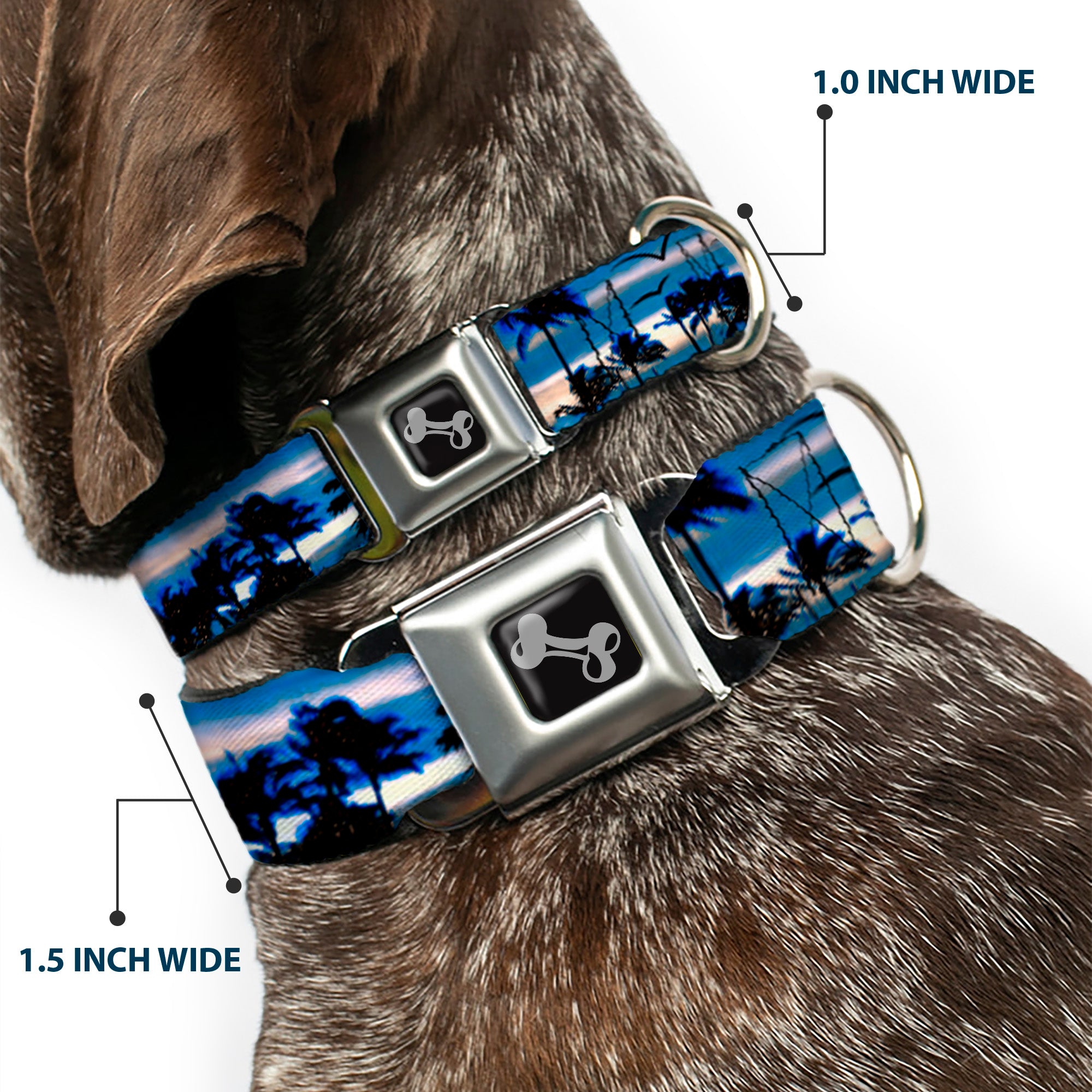 Dog Bone Seatbelt Buckle Collar - Blue Sunset Seatbelt Buckle Collars Buckle-Down