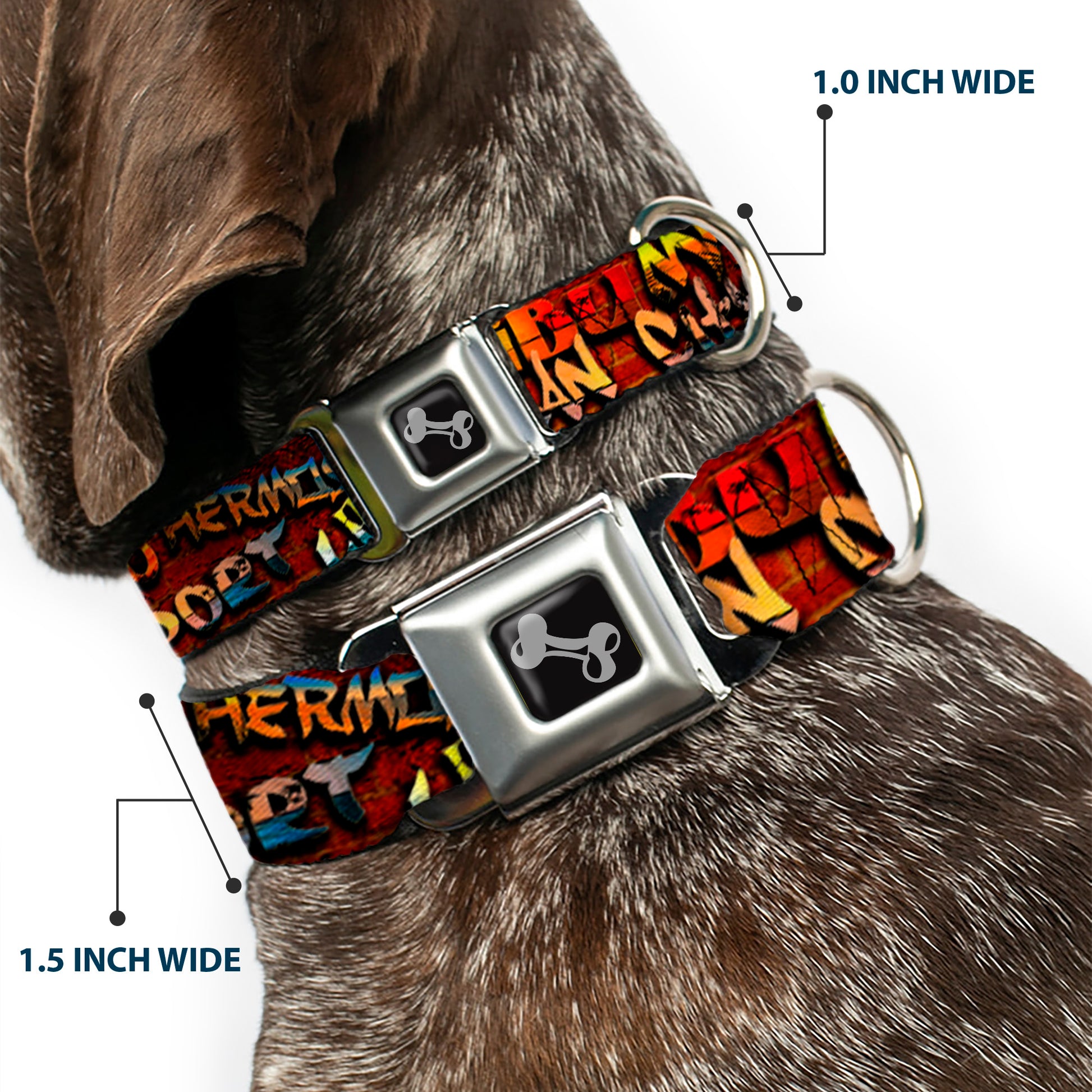 Dog Bone Seatbelt Buckle Collar - Beach Tags Stacked Brick Wall/Beach Scenes Seatbelt Buckle Collars Buckle-Down