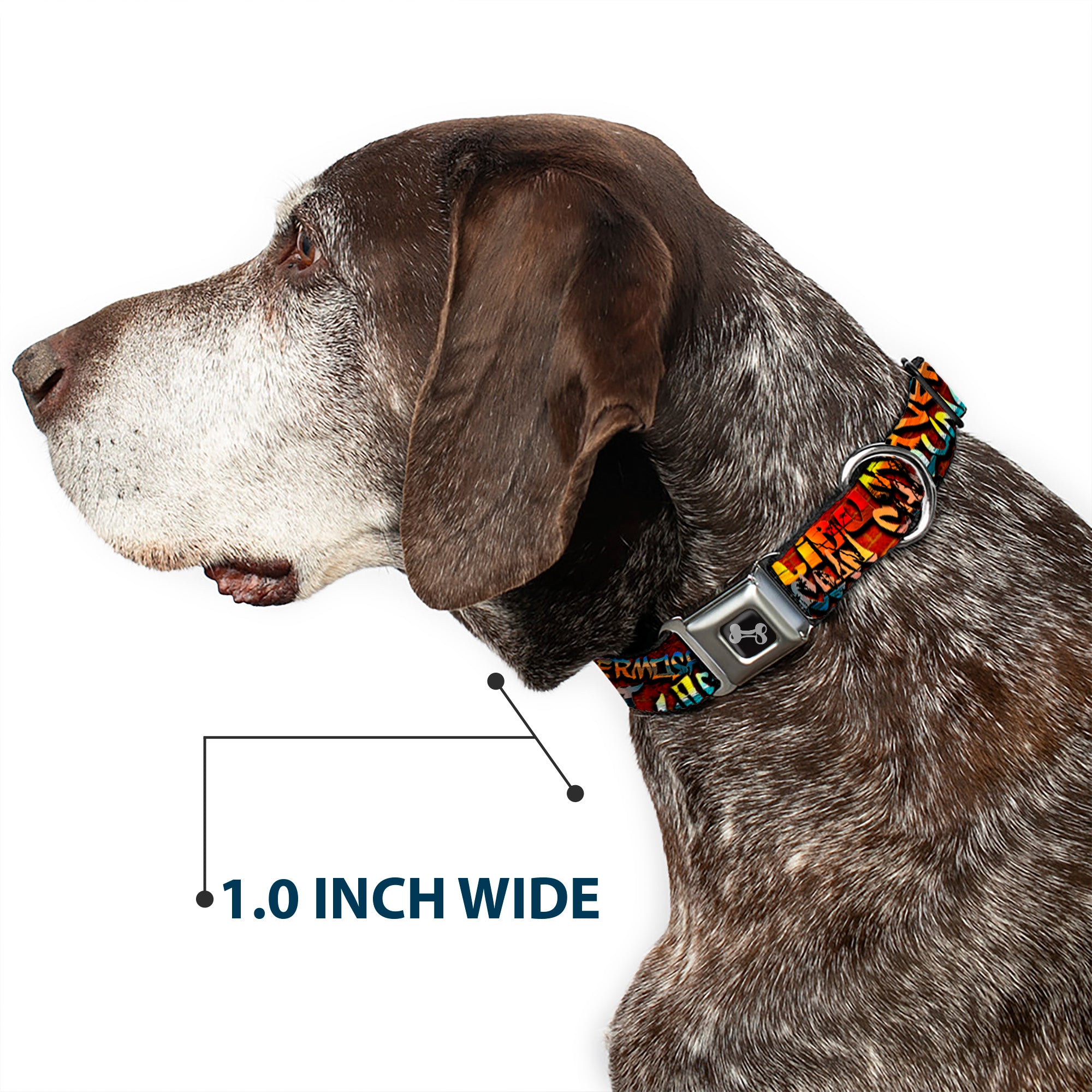Dog Bone Seatbelt Buckle Collar - Beach Tags Stacked Brick Wall/Beach Scenes Seatbelt Buckle Collars Buckle-Down