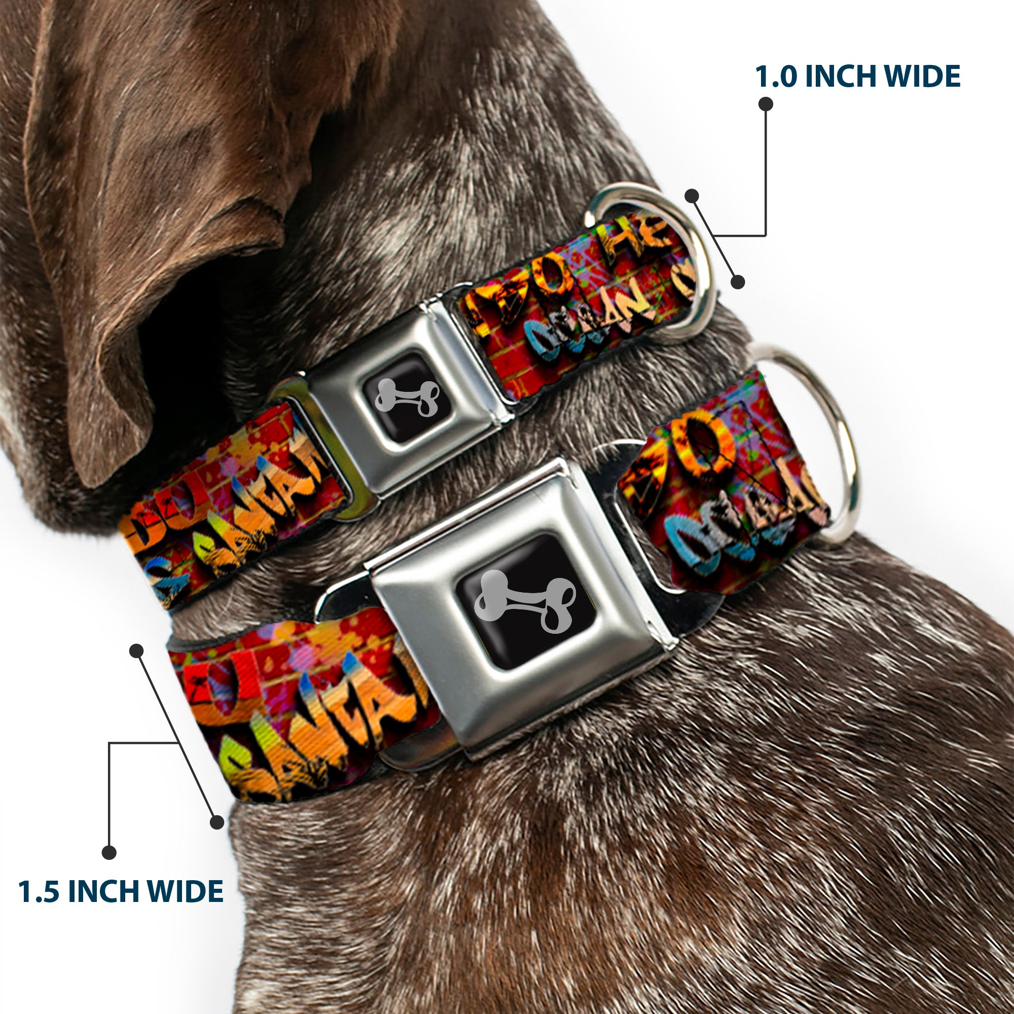 Dog Bone Seatbelt Buckle Collar - Beach Tags/Paint Splatter Brick Wall/Beach Scenes Seatbelt Buckle Collars Buckle-Down
