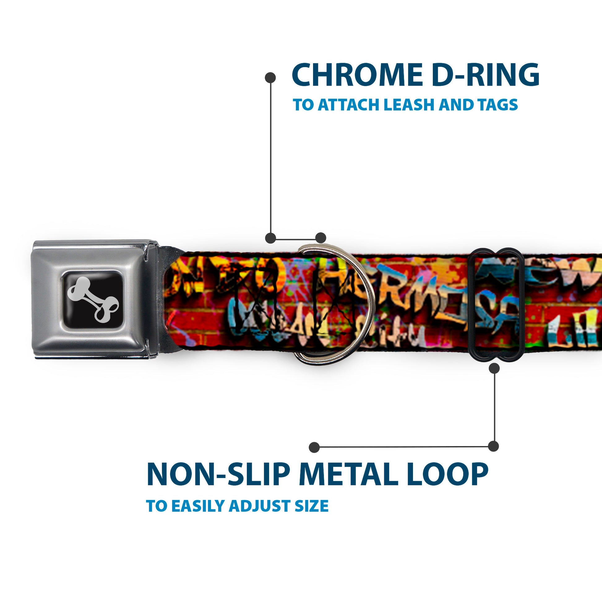 Dog Bone Seatbelt Buckle Collar - Beach Tags/Paint Splatter Brick Wall/Beach Scenes Seatbelt Buckle Collars Buckle-Down