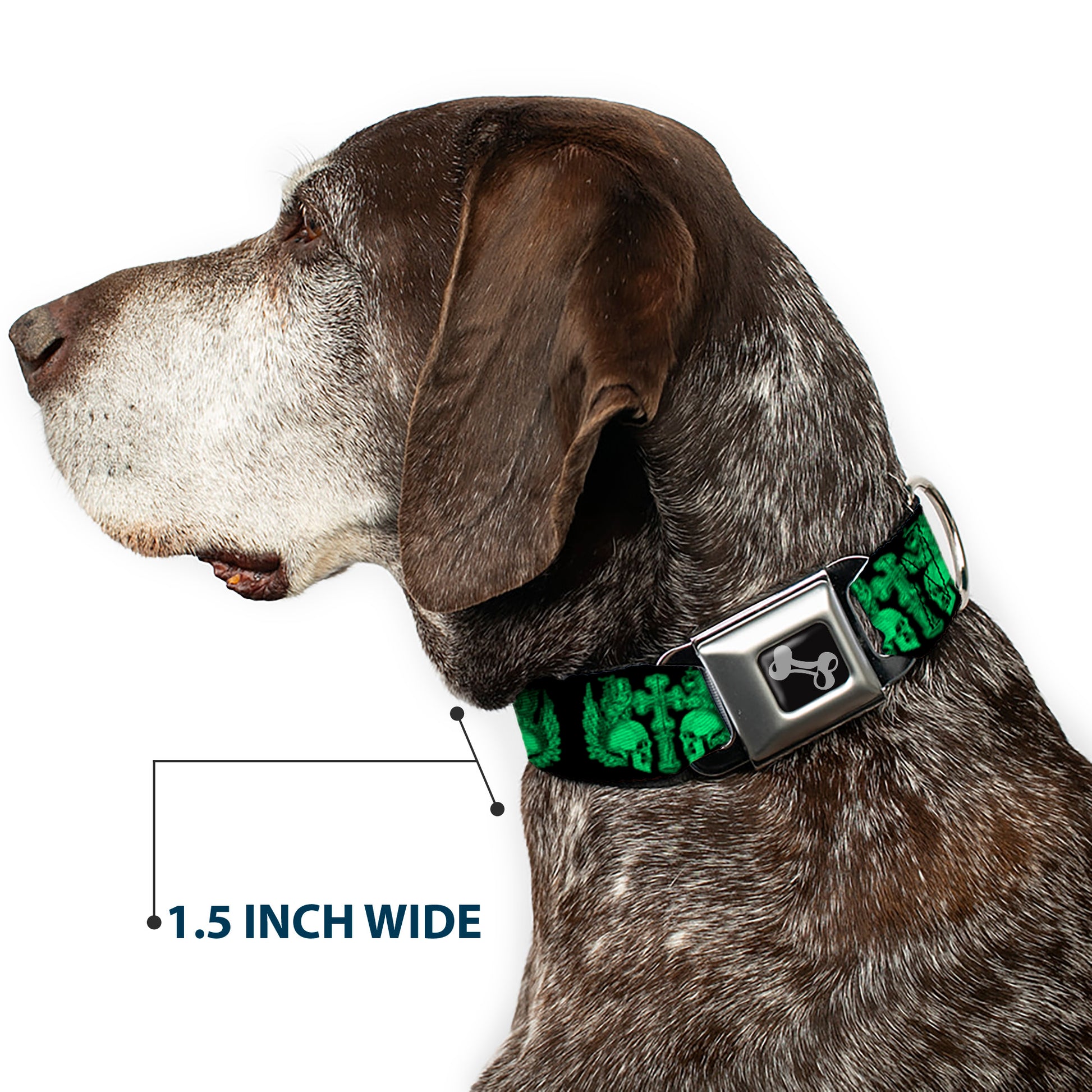 Dog Bone Seatbelt Buckle Collar - BD Skulls w/Wings Black/Green Seatbelt Buckle Collars Buckle-Down