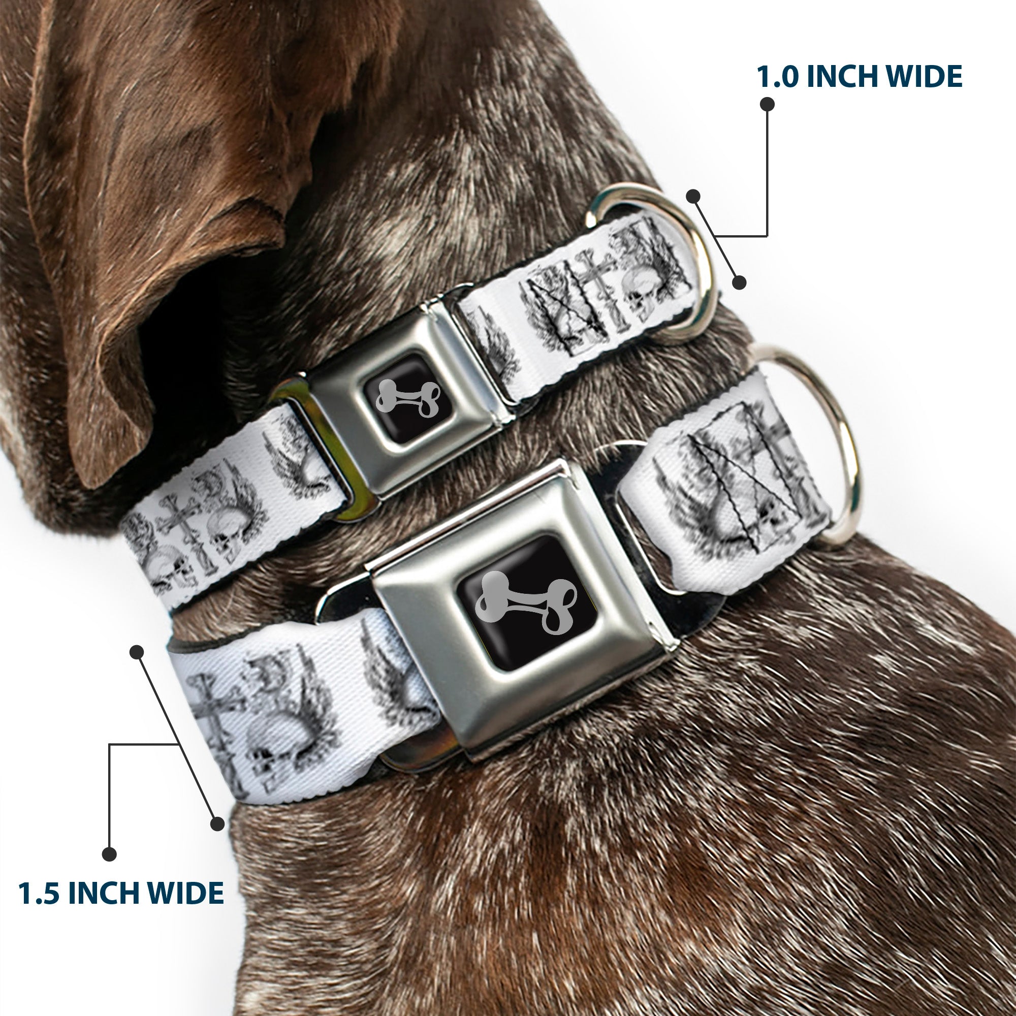 Dog Bone Seatbelt Buckle Collar - BD Skulls w/Wings White/Black Seatbelt Buckle Collars Buckle-Down