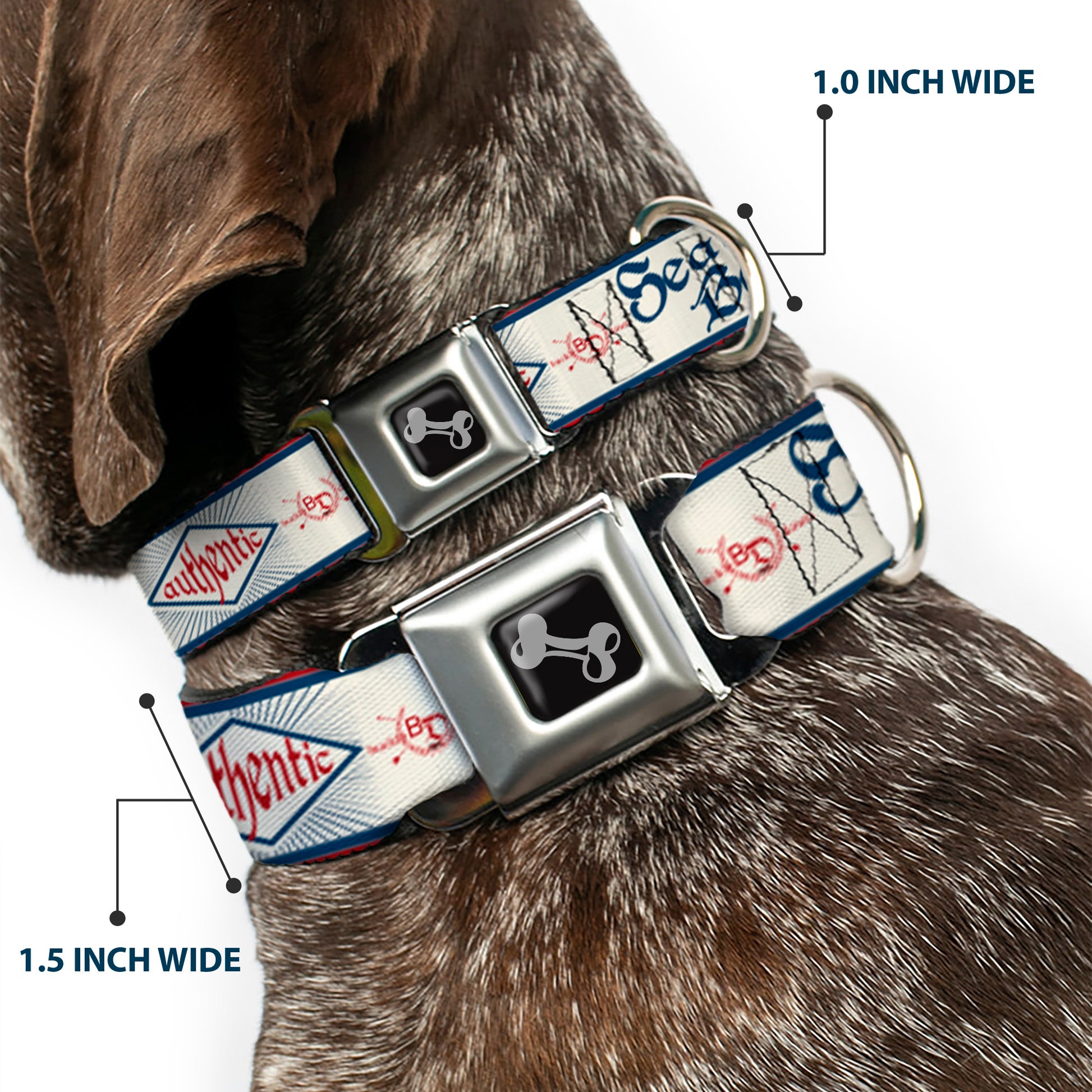 Dog Bone Seatbelt Buckle Collar - BD AUTHENTIC SEATBELT BELT White/Blue/Red Seatbelt Buckle Collars Buckle-Down