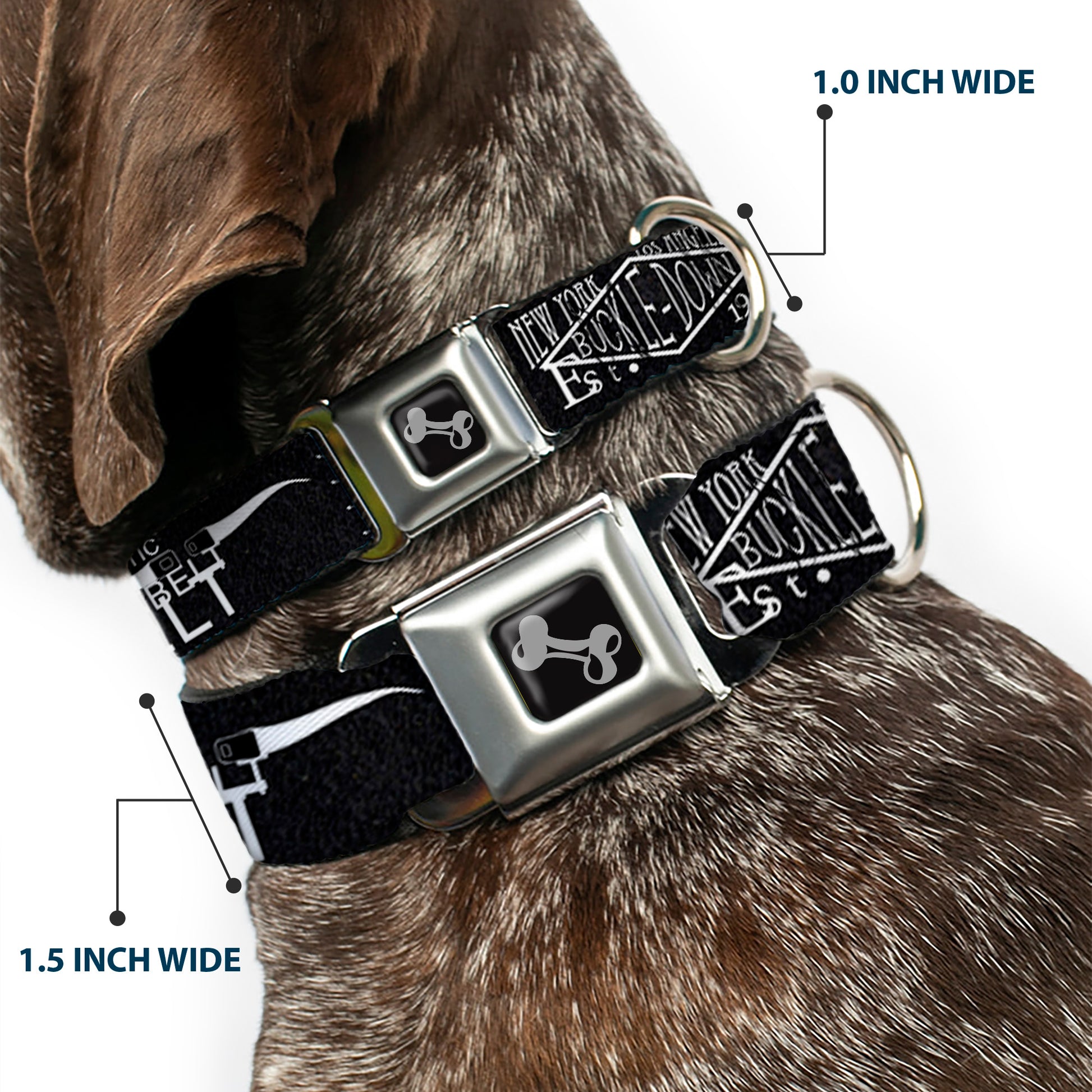 Dog Bone Seatbelt Buckle Collar - BD AUTHENTIC SEATBELT BELT NY-LA Black/White Seatbelt Buckle Collars Buckle-Down