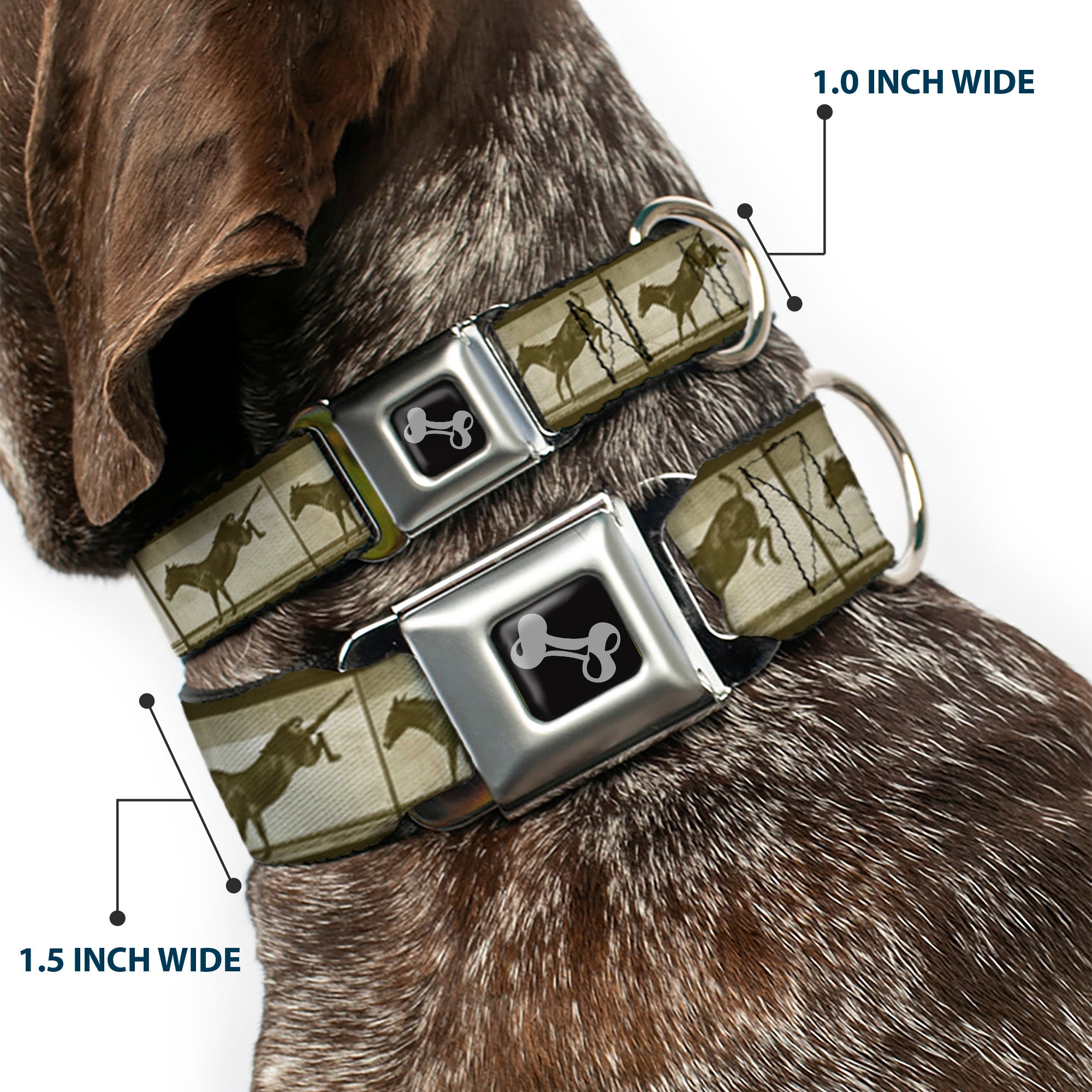 Dog Bone Seatbelt Buckle Collar - Bucking Donkey Vintage Film Strip Seatbelt Buckle Collars Buckle-Down