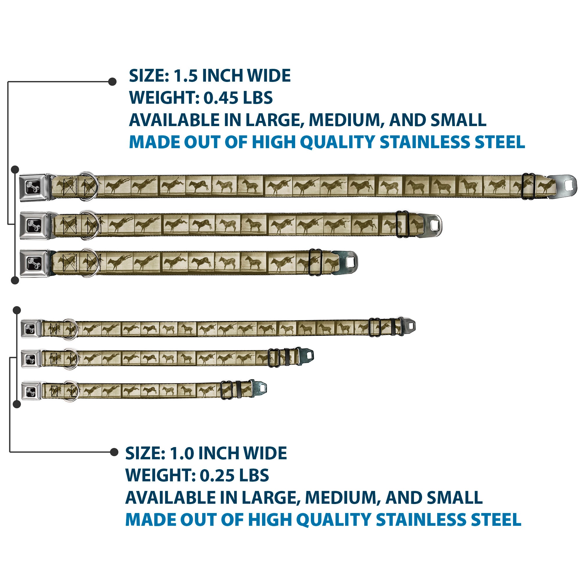 Dog Bone Seatbelt Buckle Collar - Bucking Donkey Vintage Film Strip Seatbelt Buckle Collars Buckle-Down