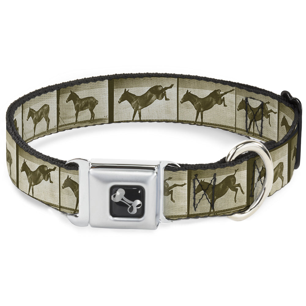 Dog Bone Seatbelt Buckle Collar - Bucking Donkey Vintage Film Strip Seatbelt Buckle Collars Buckle-Down