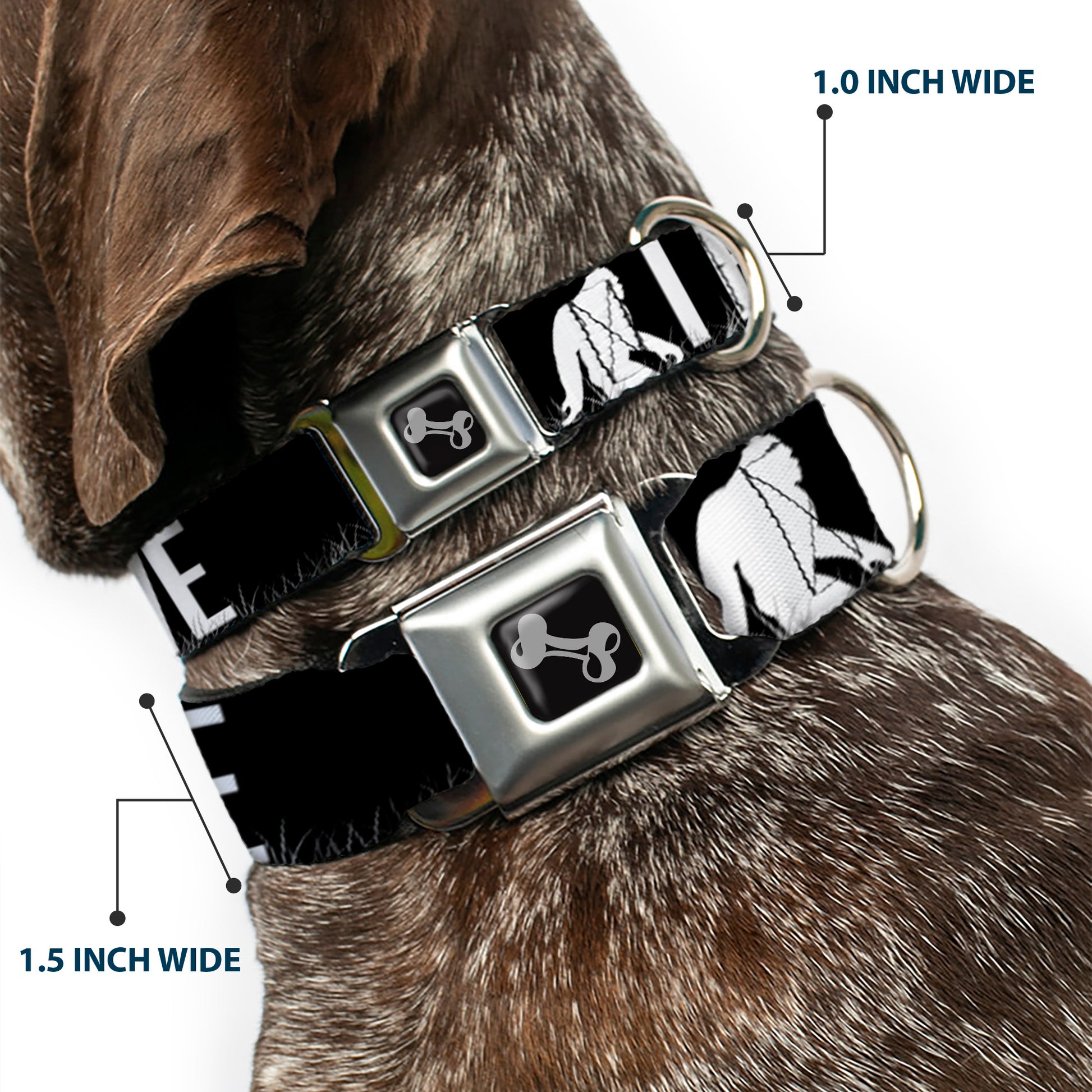Dog Bone Seatbelt Buckle Collar - Bigfoot Silhouette I BELIEVE Black/Gray/White Seatbelt Buckle Collars Buckle-Down