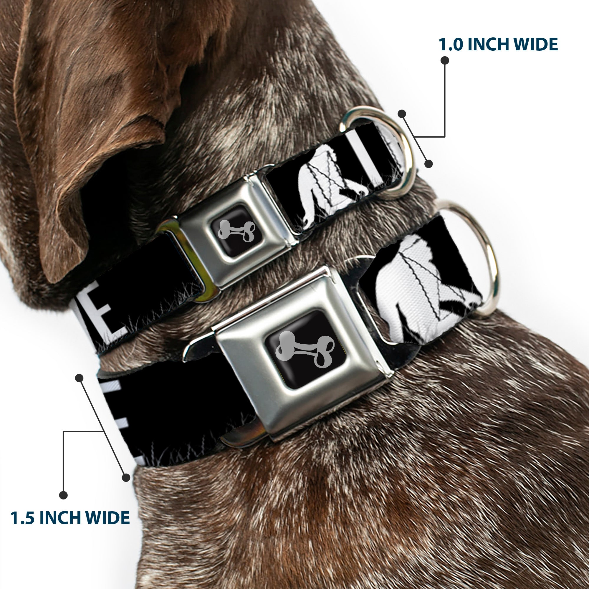 Dog Bone Seatbelt Buckle Collar - Bigfoot Silhouette I BELIEVE Black/Gray/White Seatbelt Buckle Collars Buckle-Down