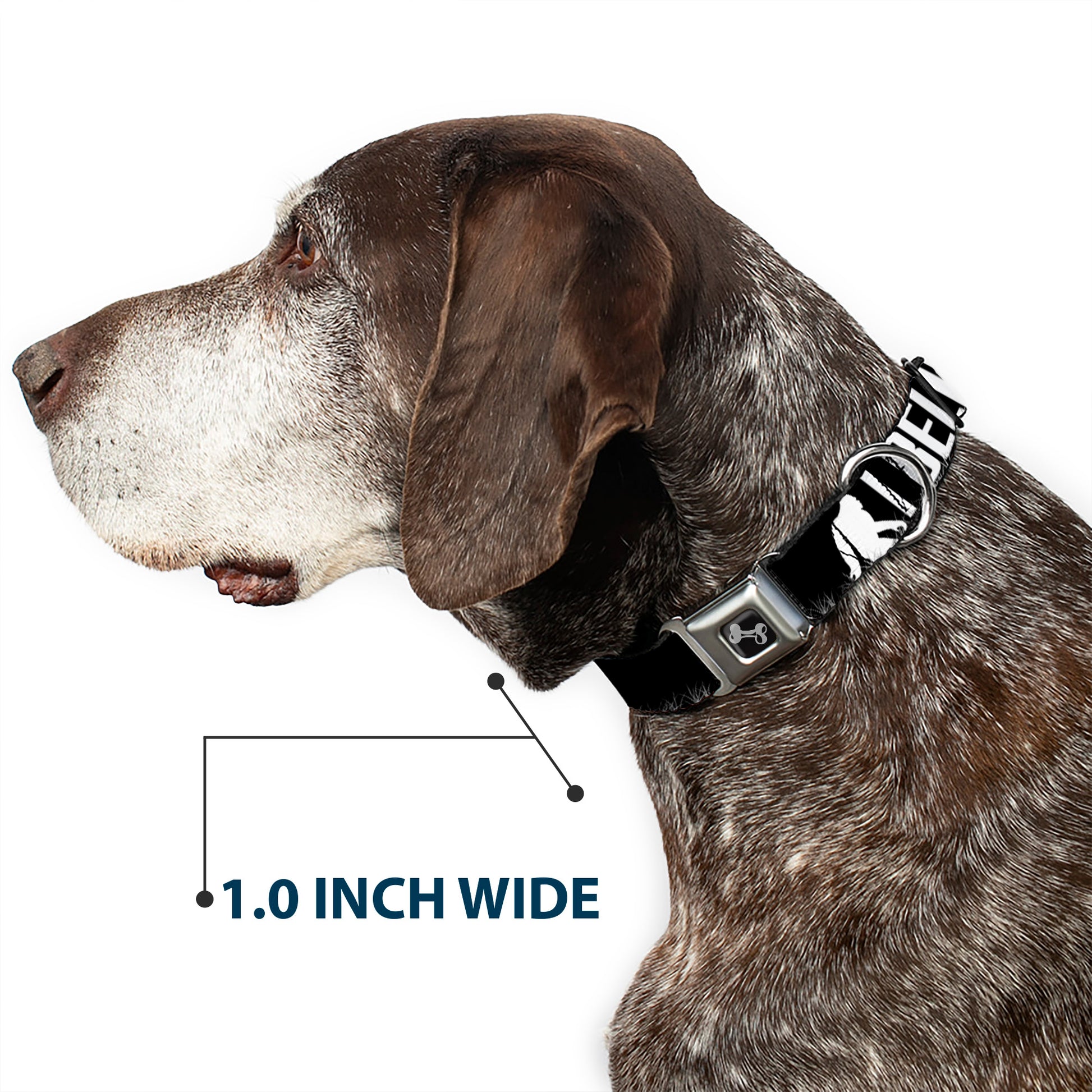 Dog Bone Seatbelt Buckle Collar - Bigfoot Silhouette I BELIEVE Black/Gray/White Seatbelt Buckle Collars Buckle-Down