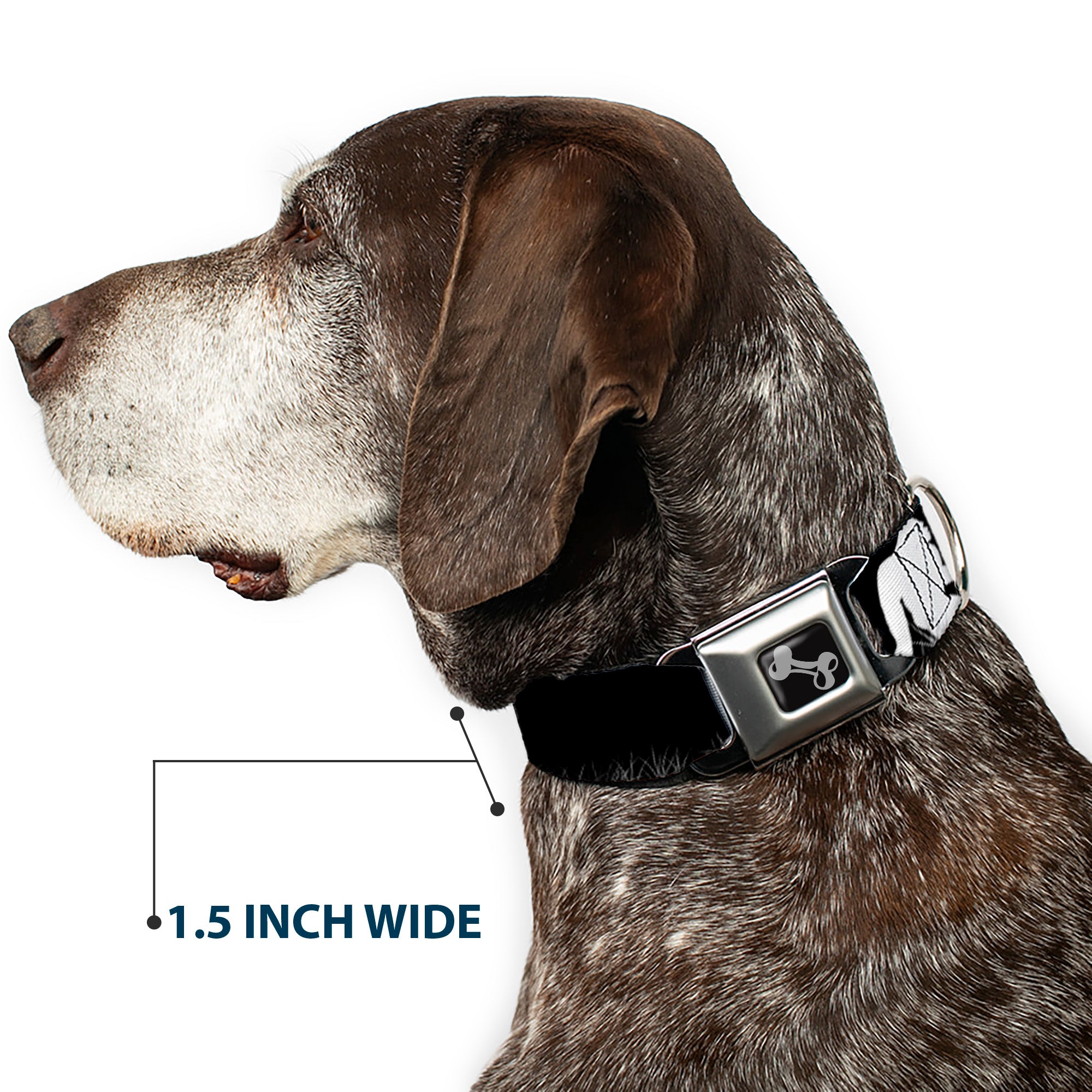 Dog Bone Seatbelt Buckle Collar - Bigfoot Silhouette I BELIEVE Black/Gray/White Seatbelt Buckle Collars Buckle-Down