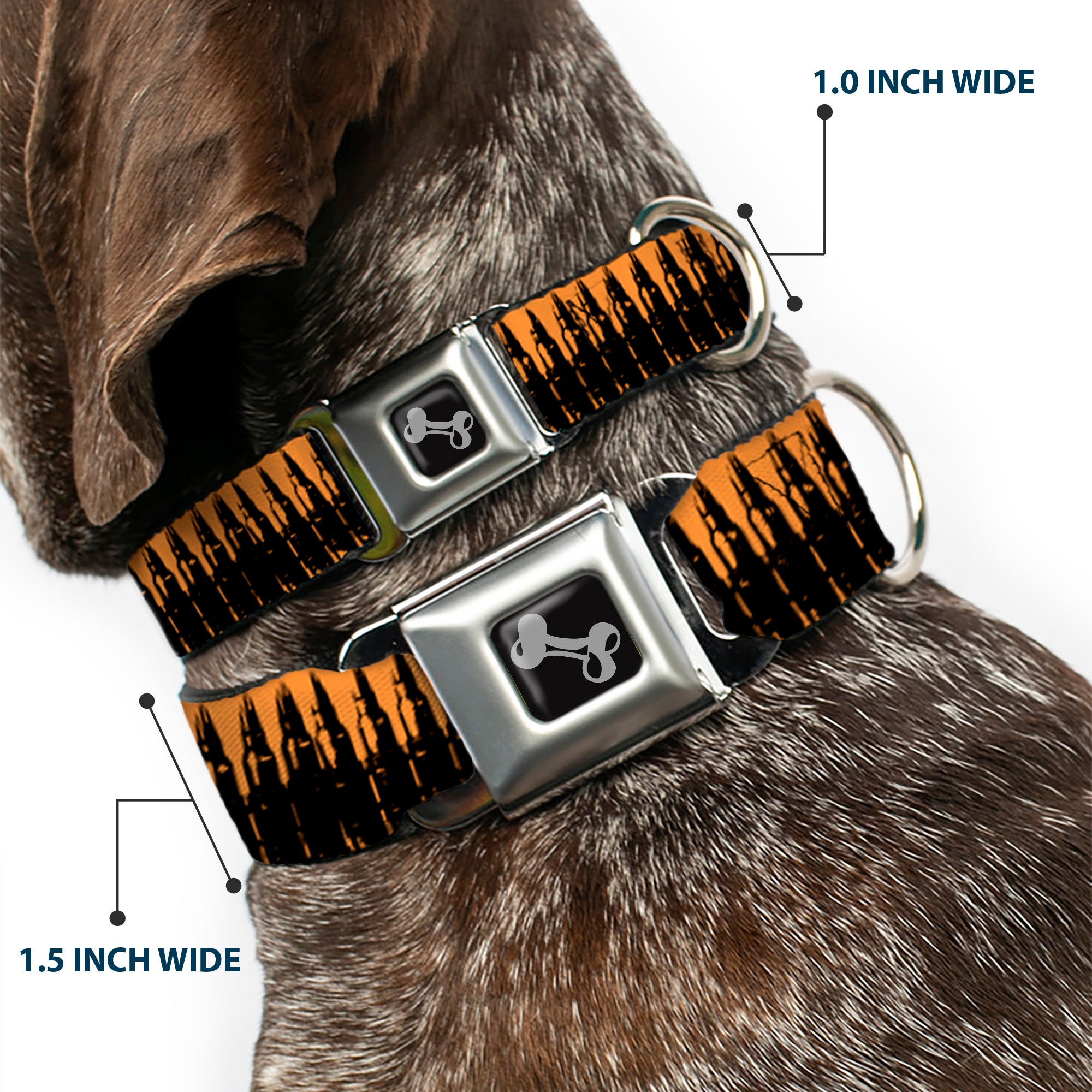 Buckle-Down Seatbelt Buckle Dog Collar - Bullets2 Orange/Black Seatbelt Buckle Collars Buckle-Down