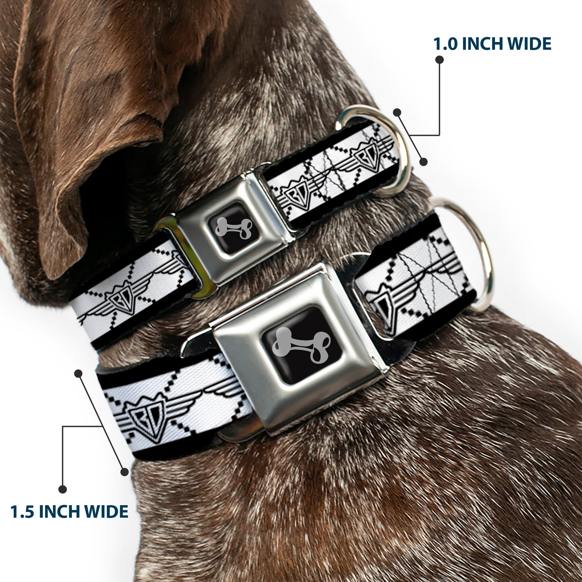 Dog Bone Seatbelt Buckle Collar - BD Monogram2 White/Black Seatbelt Buckle Collars Buckle-Down