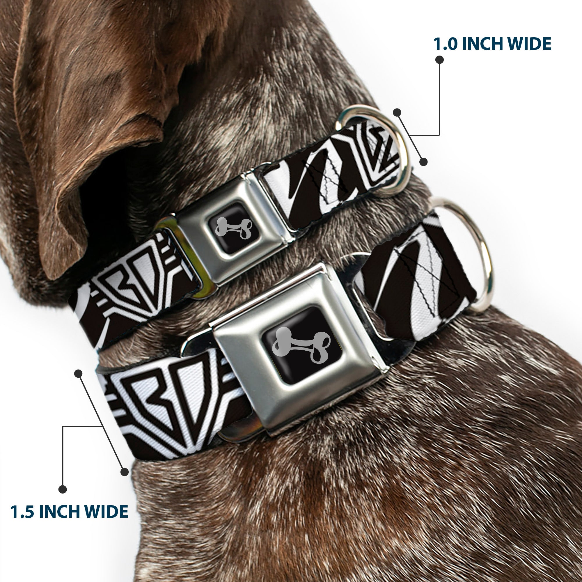 Dog Bone Seatbelt Buckle Collar - BD Logo/BUCKLE-DOWN Script Black/White Seatbelt Buckle Collars Buckle-Down