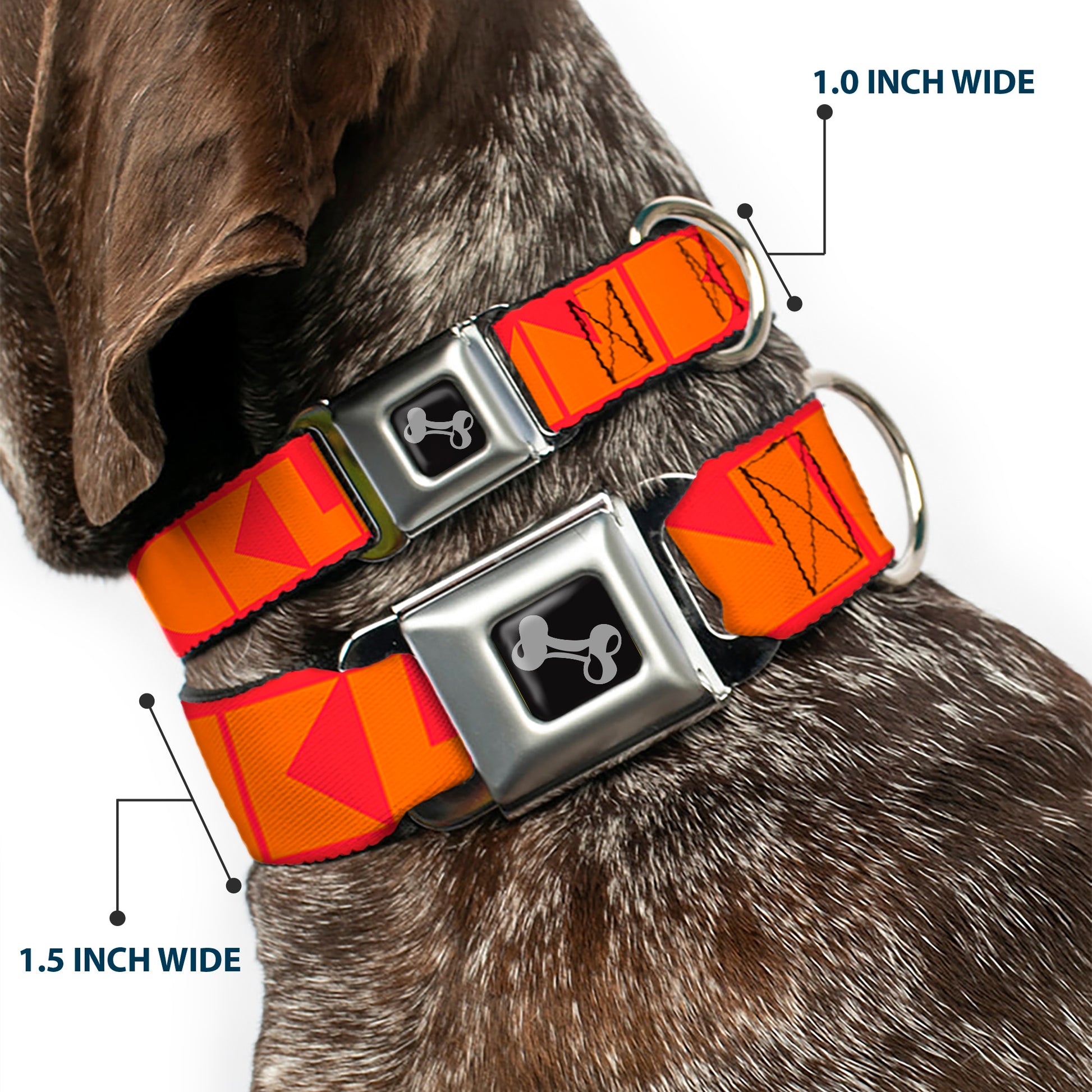 Dog Bone Seatbelt Buckle Collar - BUCKLE-DOWN Shapes Red/Orange Seatbelt Buckle Collars Buckle-Down
