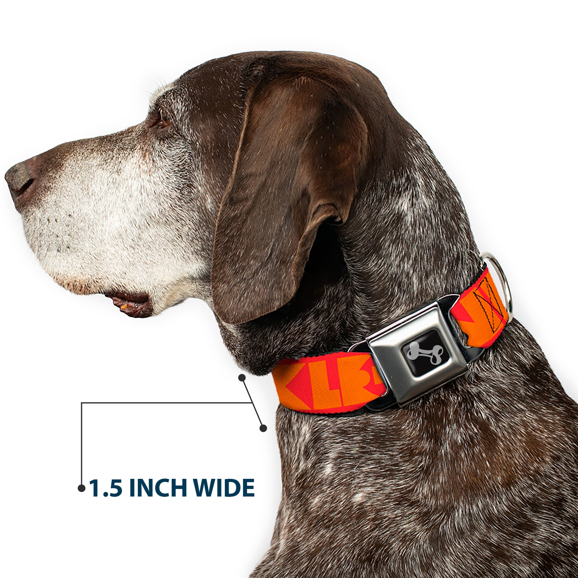 Dog Bone Seatbelt Buckle Collar - BUCKLE-DOWN Shapes Red/Orange Seatbelt Buckle Collars Buckle-Down