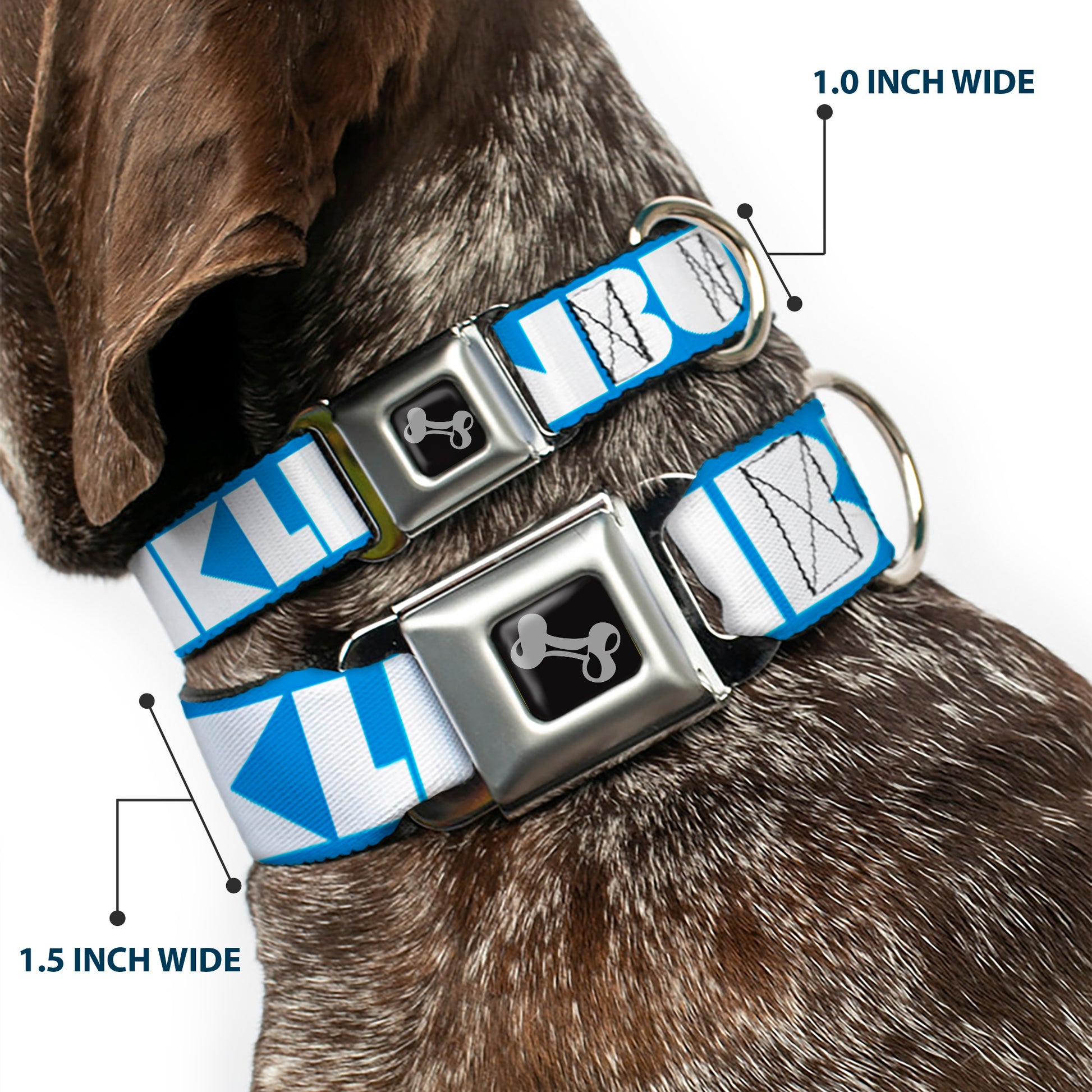 Dog Bone Seatbelt Buckle Collar - BUCKLE-DOWN Shapes Turquoise/White Seatbelt Buckle Collars Buckle-Down