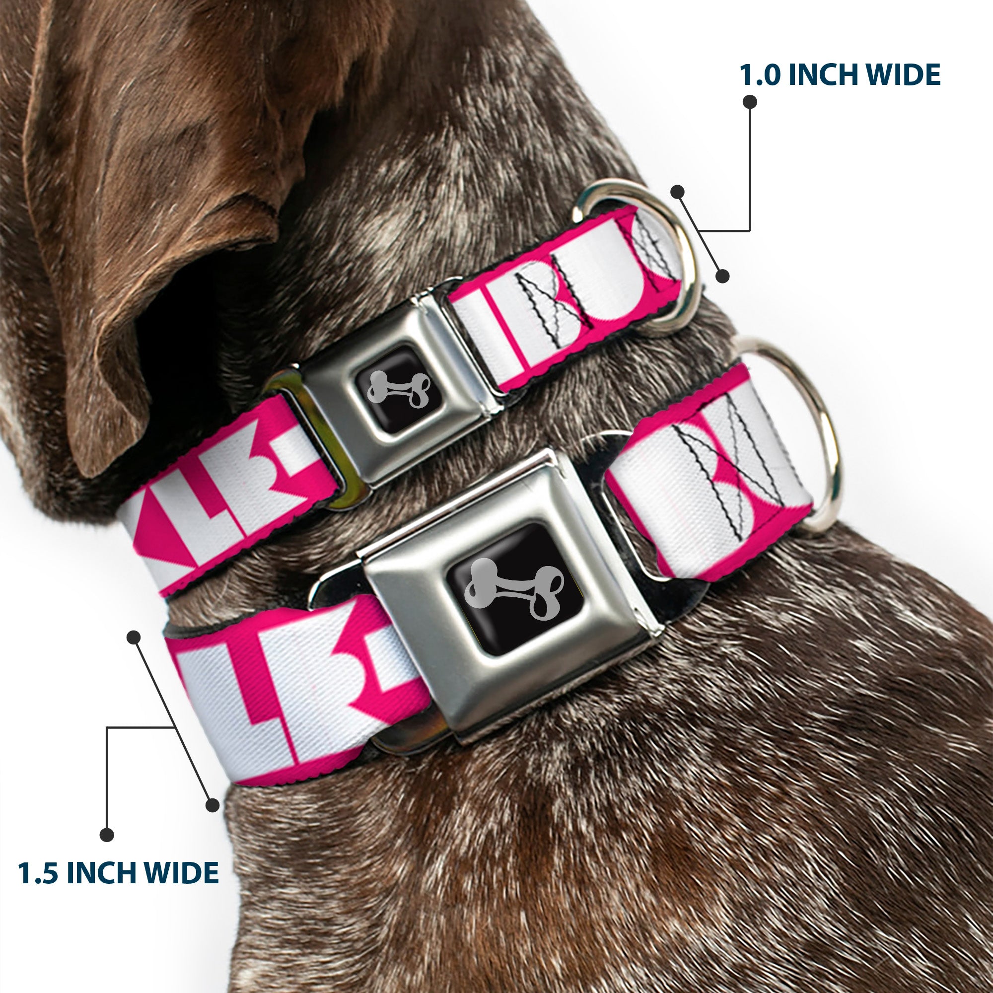 Dog Bone Seatbelt Buckle Collar - BUCKLE-DOWN Shapes Hot Pink/White Seatbelt Buckle Collars Buckle-Down