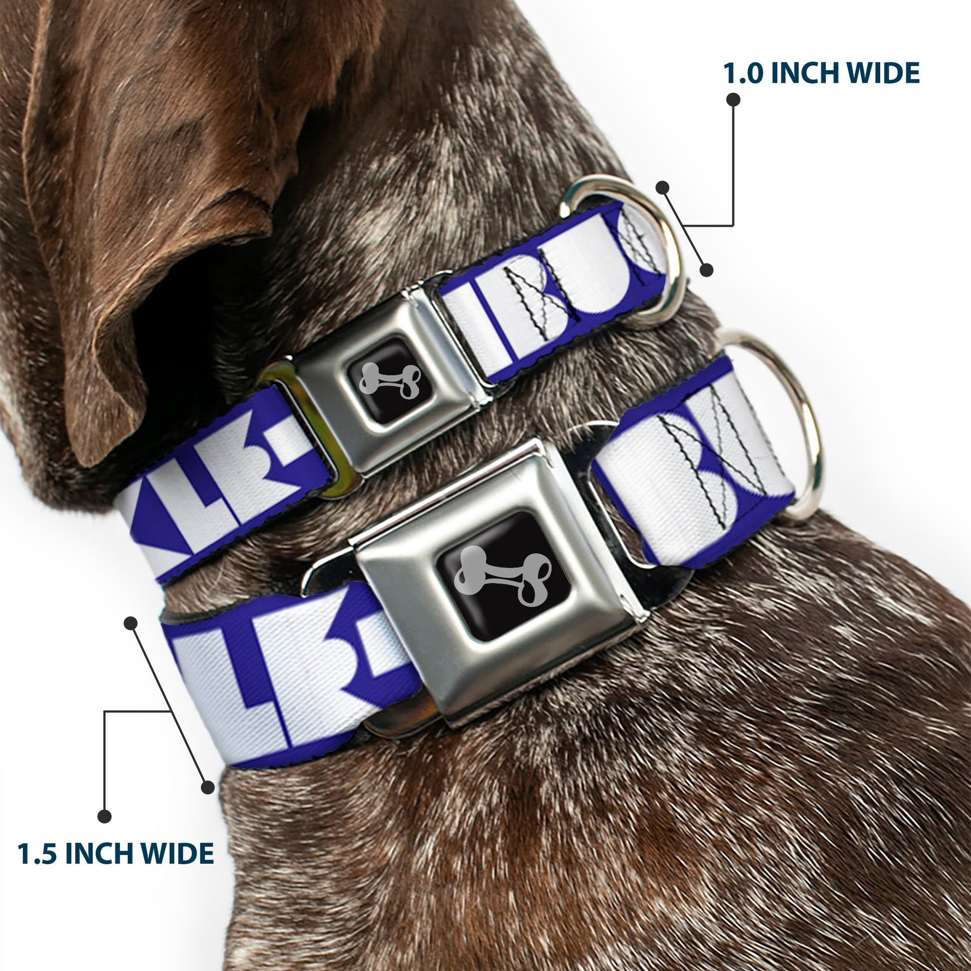 Dog Bone Seatbelt Buckle Collar - BUCKLE-DOWN Shapes Blue/White Seatbelt Buckle Collars Buckle-Down