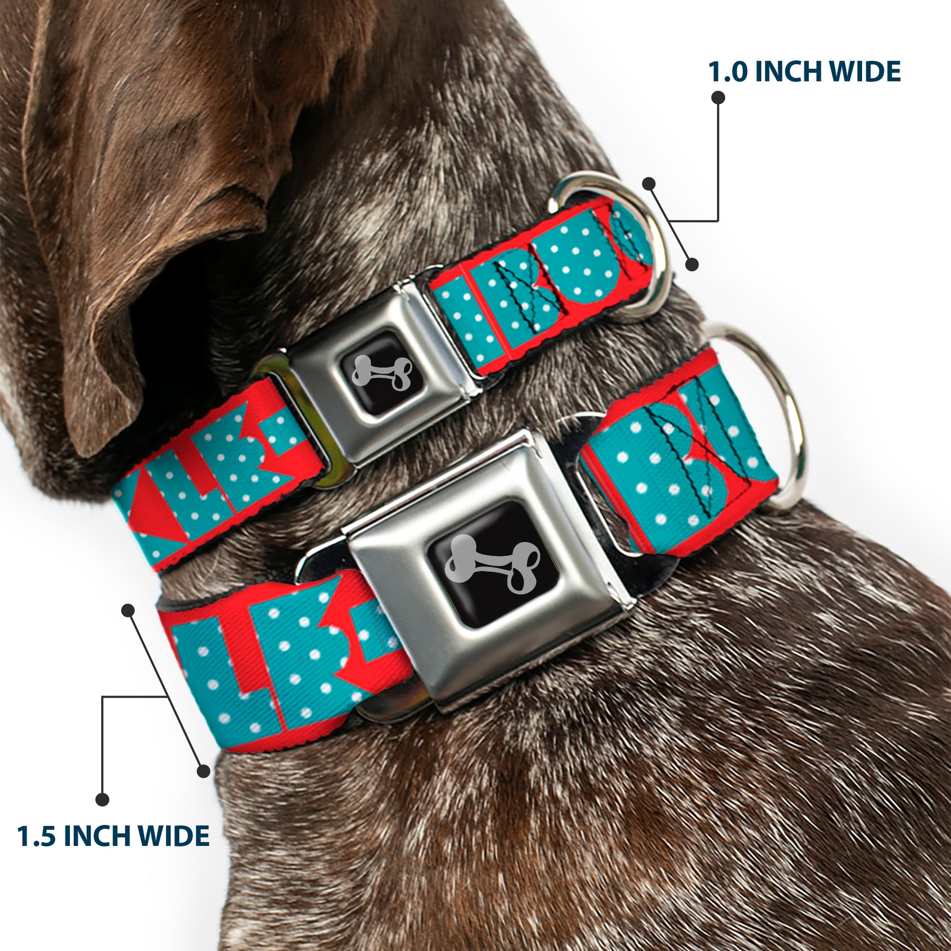 Dog Bone Seatbelt Buckle Collar - BUCKLE-DOWN Shapes Red/Dot Turquoise/White Seatbelt Buckle Collars Buckle-Down
