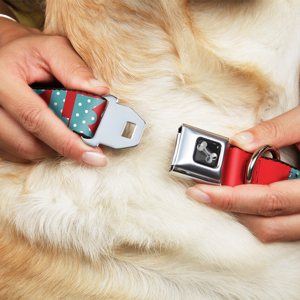 Dog Bone Seatbelt Buckle Collar - BUCKLE-DOWN Shapes Red/Dot Turquoise/White Seatbelt Buckle Collars Buckle-Down
