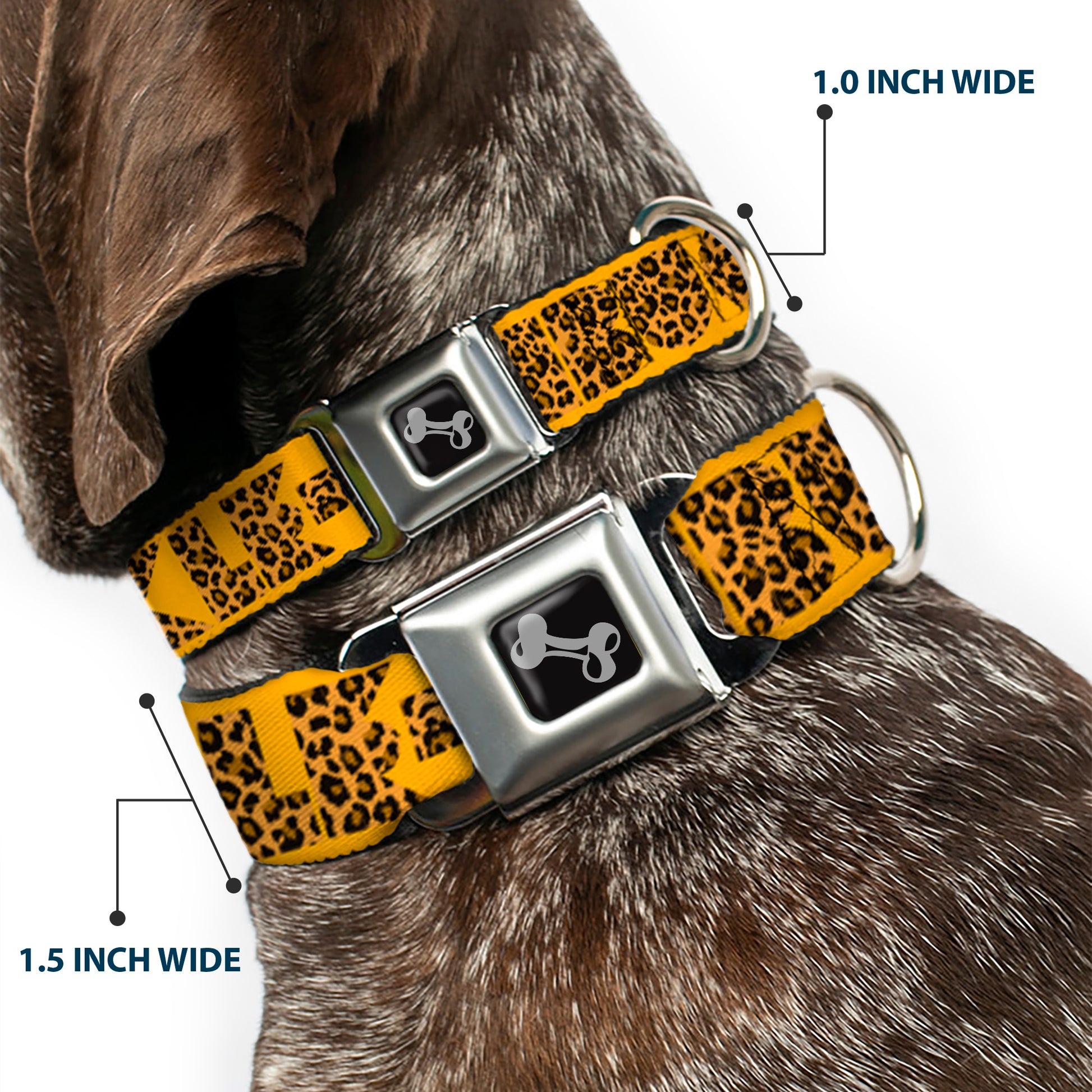 Dog Bone Seatbelt Buckle Collar - BUCKLE-DOWN Shapes Gold/Leopard Brown Seatbelt Buckle Collars Buckle-Down
