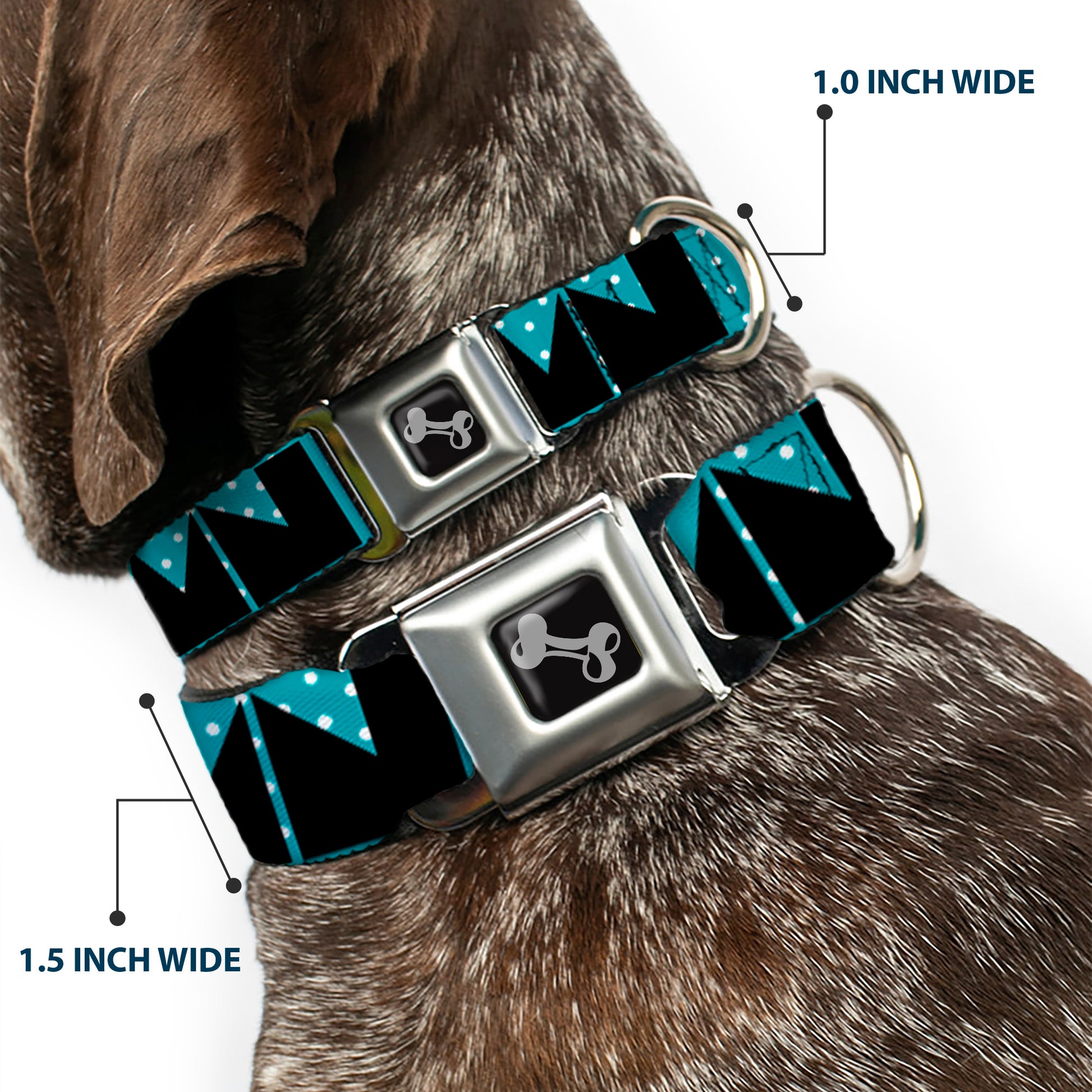 Dog Bone Seatbelt Buckle Collar - BUCKLE-DOWN Shapes Dot Turquoise/White/Black Seatbelt Buckle Collars Buckle-Down