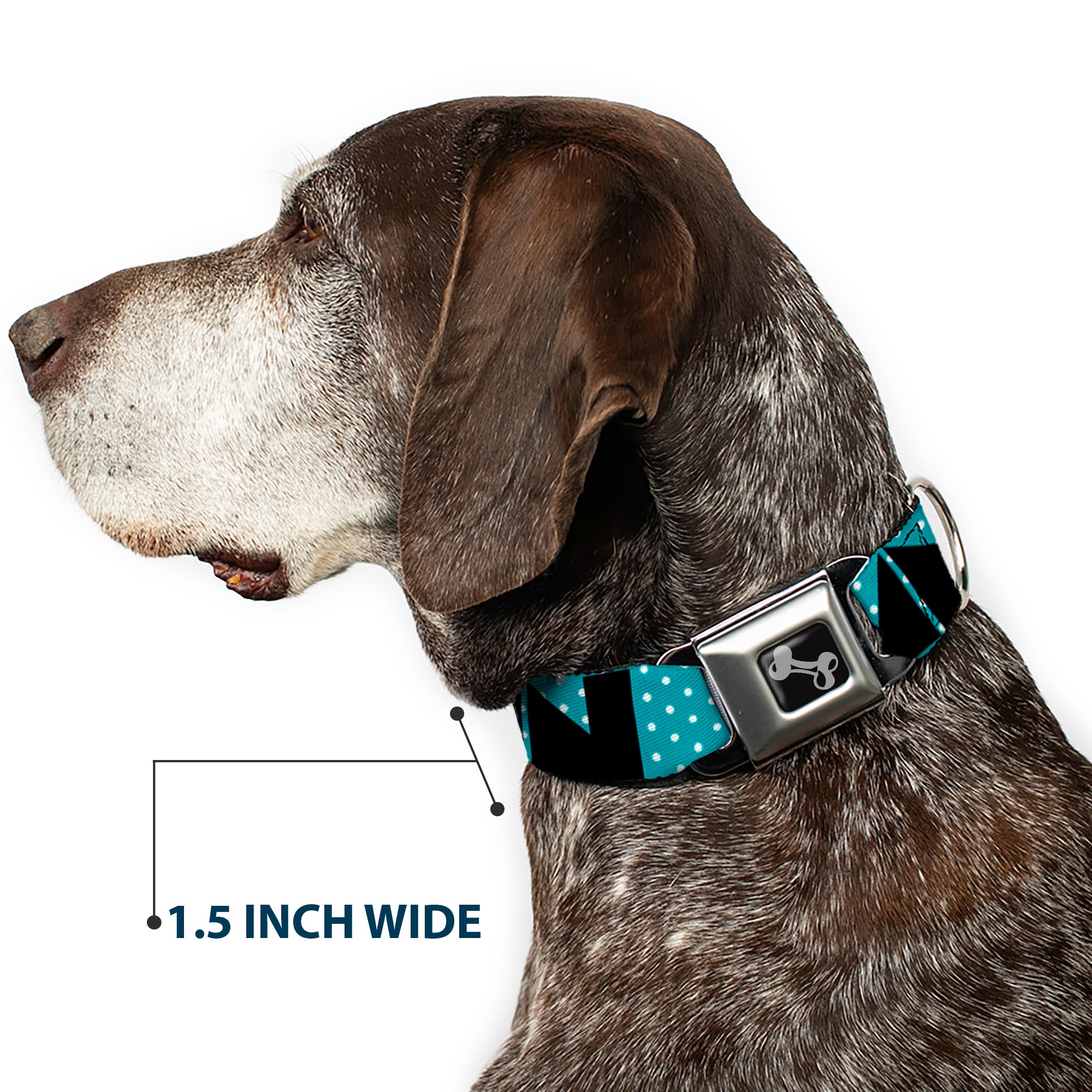 Dog Bone Seatbelt Buckle Collar - BUCKLE-DOWN Shapes Dot Turquoise/White/Black Seatbelt Buckle Collars Buckle-Down