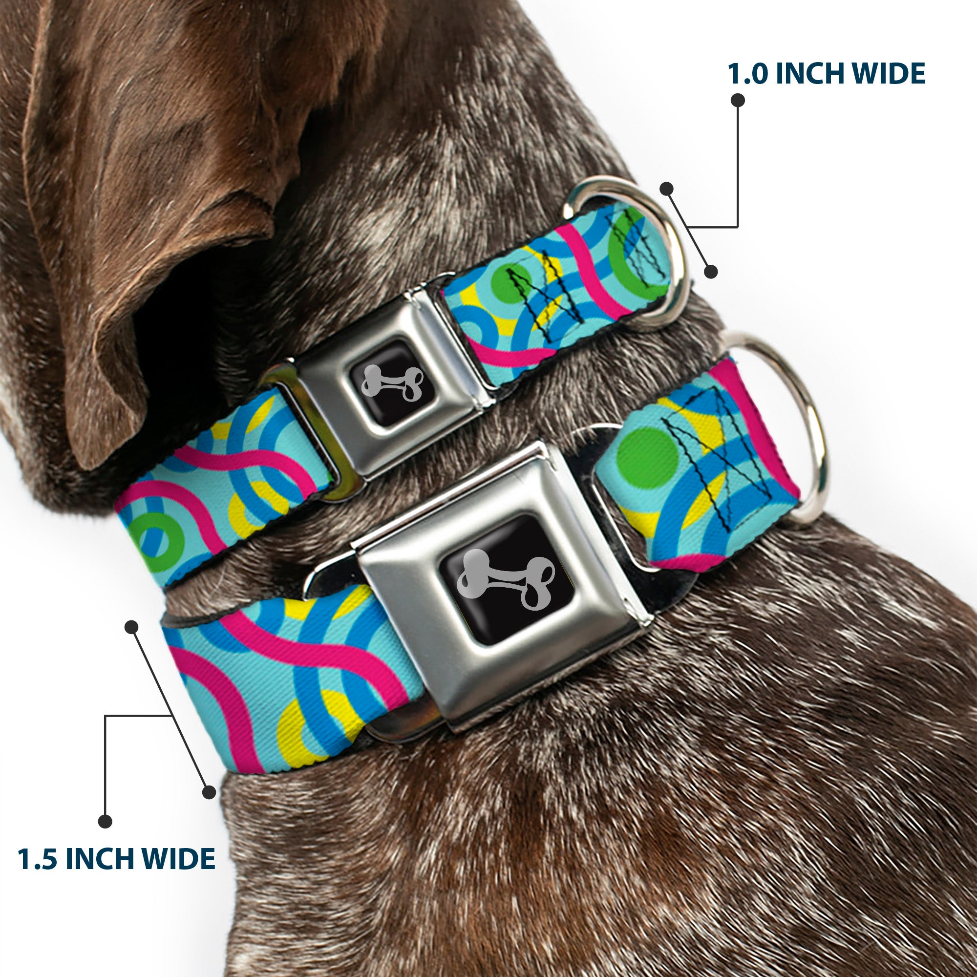 Dog Bone Seatbelt Buckle Collar - Bullseye Stacked Swirl Blues/Green/Yellow/Pink Seatbelt Buckle Collars Buckle-Down
