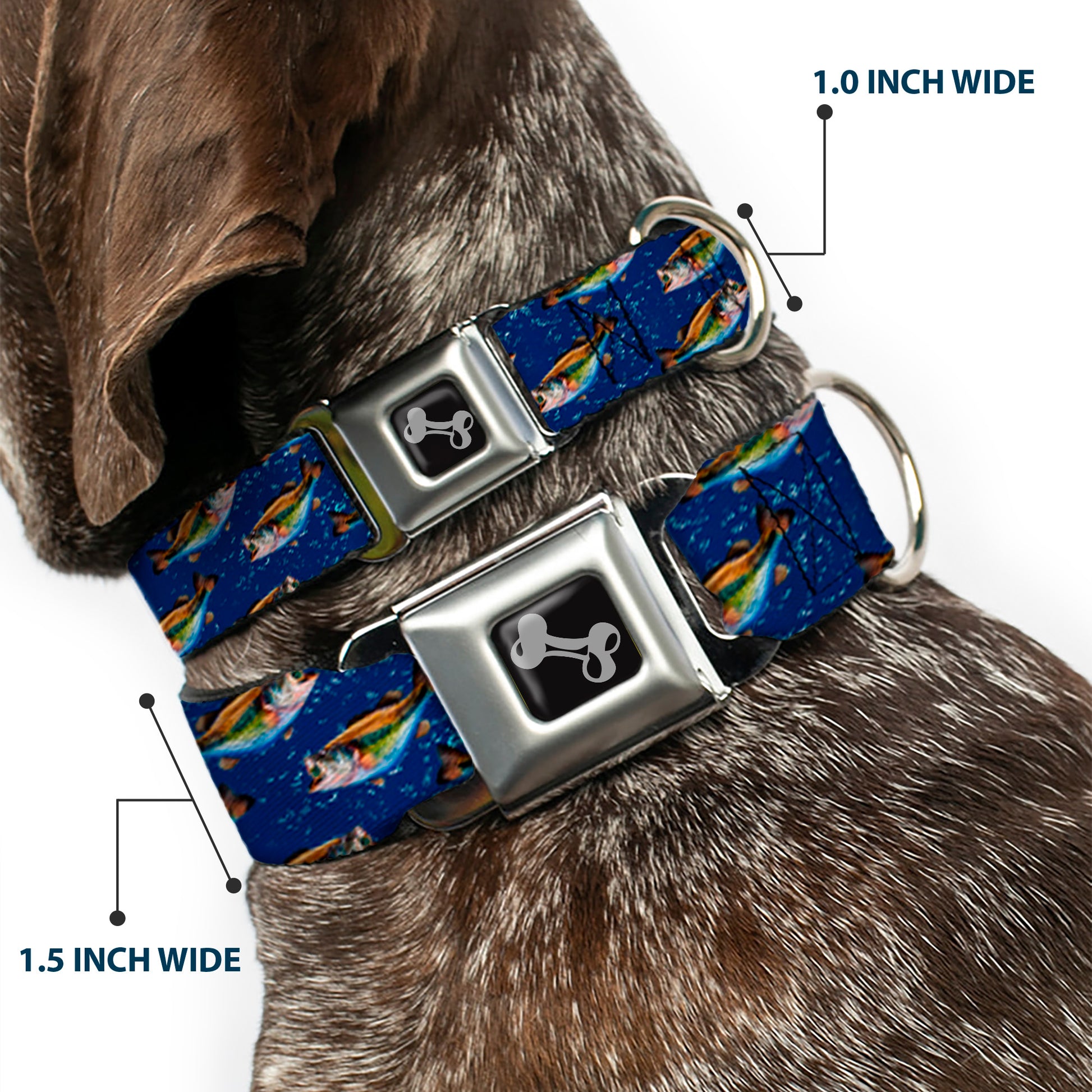Dog Bone Seatbelt Buckle Collar - Bass Fish/Water Bubbles Seatbelt Buckle Collars Buckle-Down