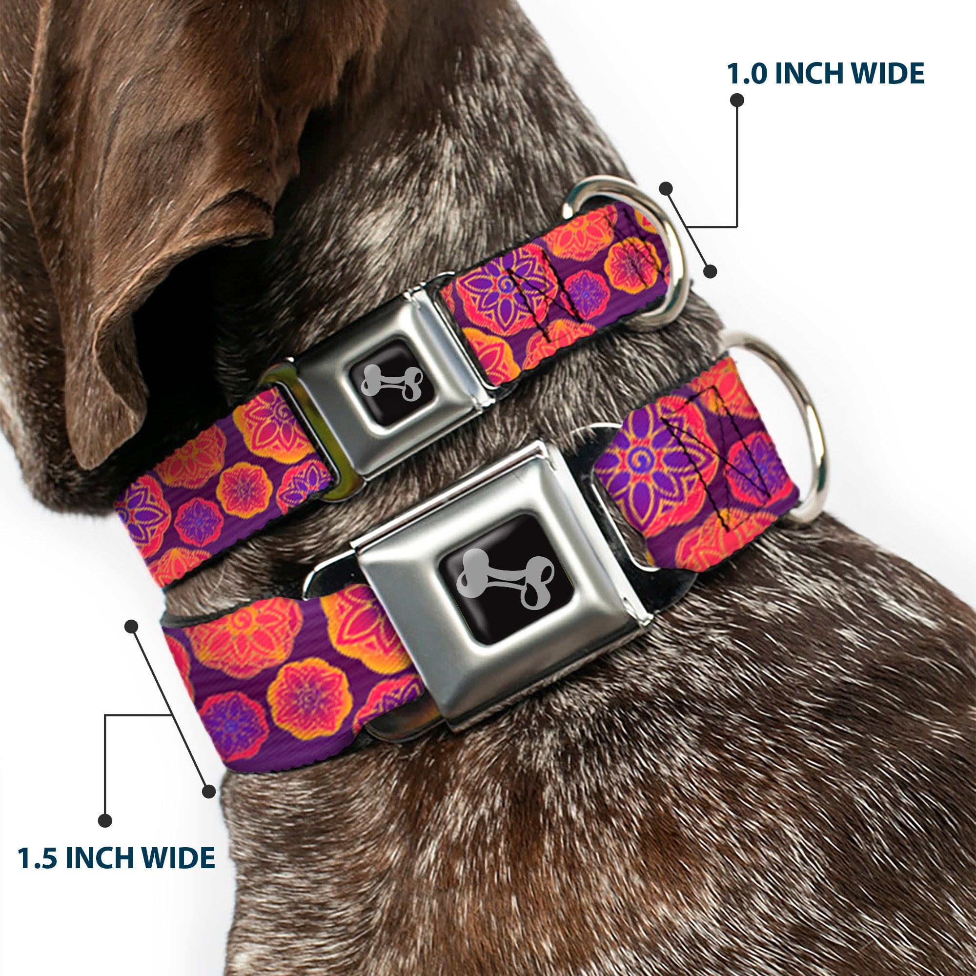 Dog Bone Seatbelt Buckle Collar - Boho Mandala Purples/Oranges/Pinks Seatbelt Buckle Collars Buckle-Down