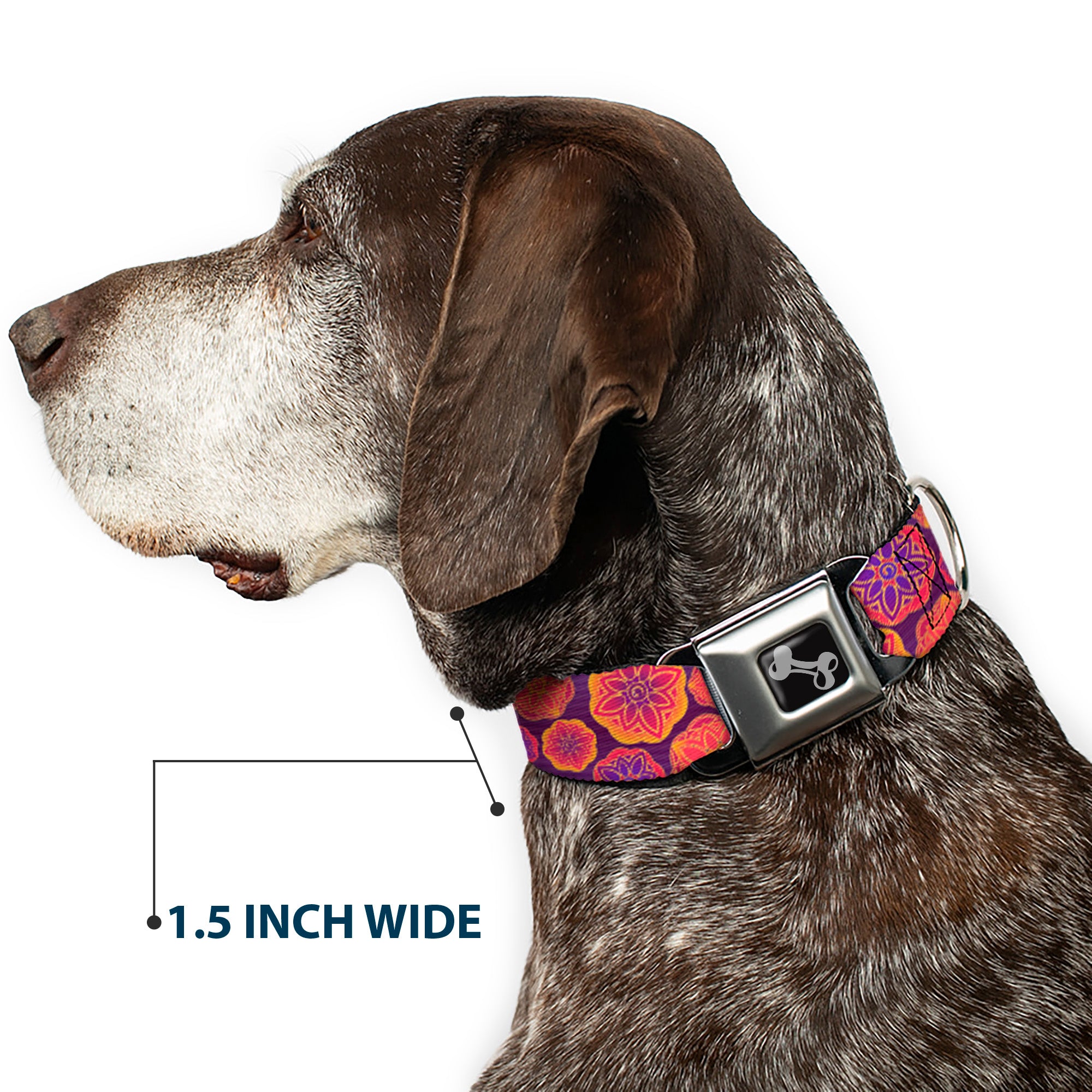 Dog Bone Seatbelt Buckle Collar - Boho Mandala Purples/Oranges/Pinks Seatbelt Buckle Collars Buckle-Down