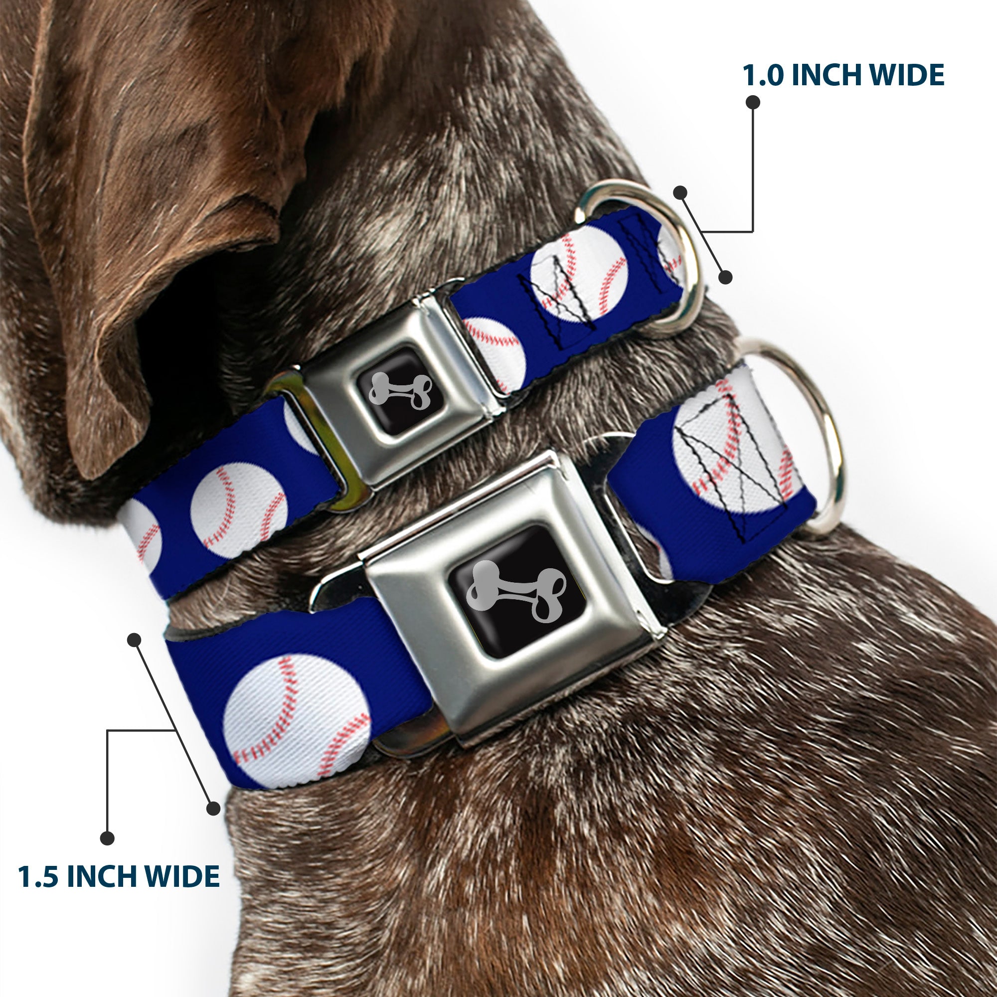 Dog Bone Seatbelt Buckle Collar - Baseballs Scattered Blue Seatbelt Buckle Collars Buckle-Down