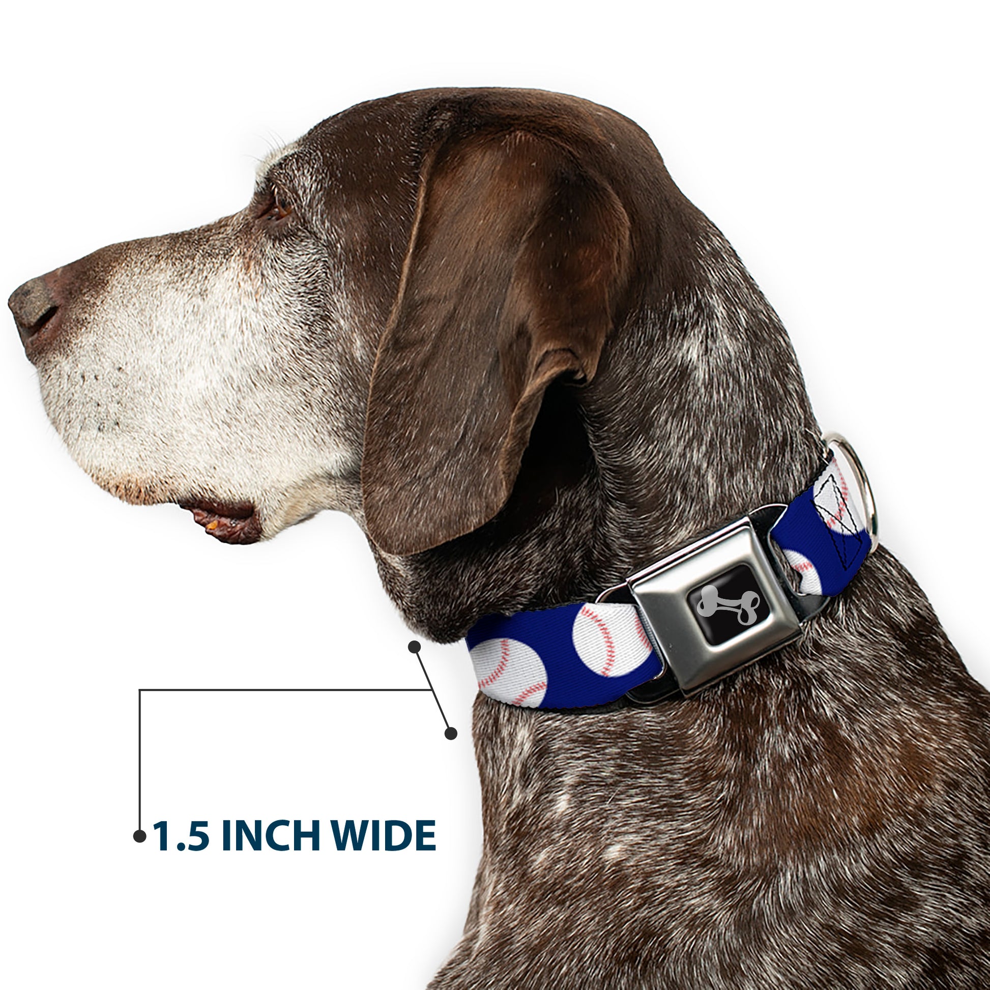 Dog Bone Seatbelt Buckle Collar - Baseballs Scattered Blue Seatbelt Buckle Collars Buckle-Down