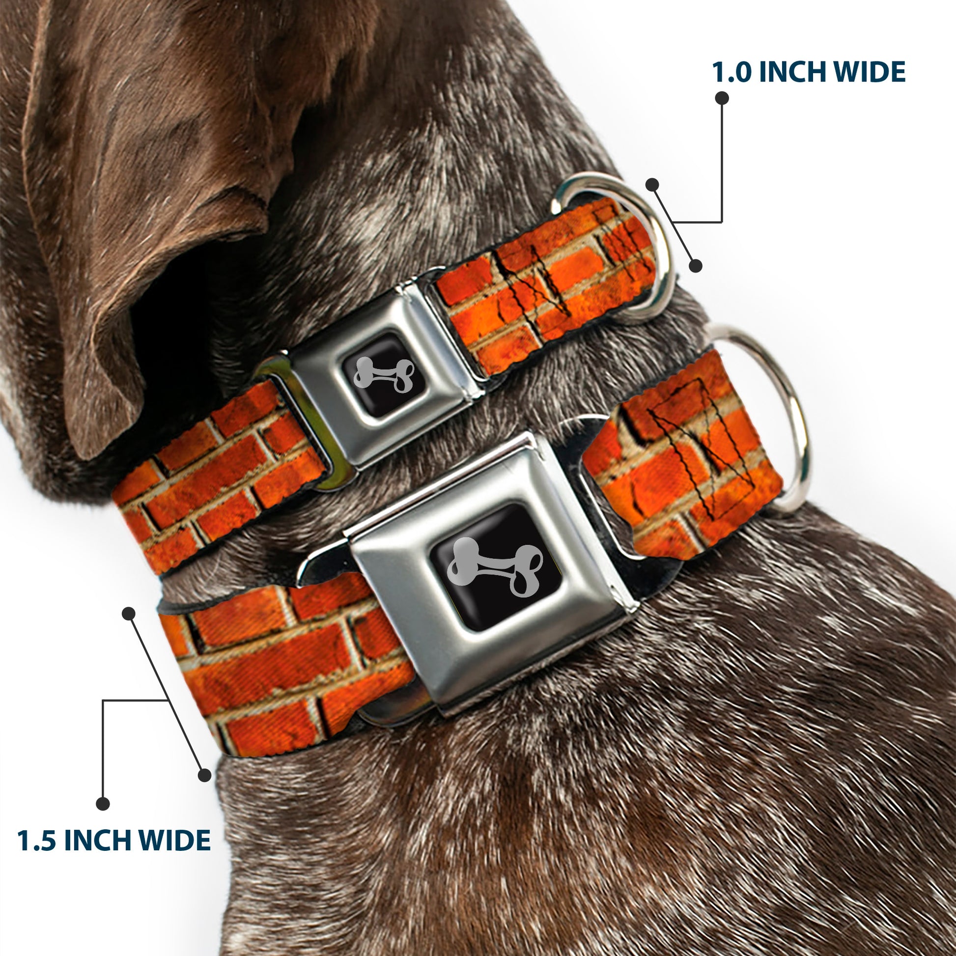 Dog Bone Black/Silver Seatbelt Buckle Collar - Brick Wall Seatbelt Buckle Collars Buckle-Down