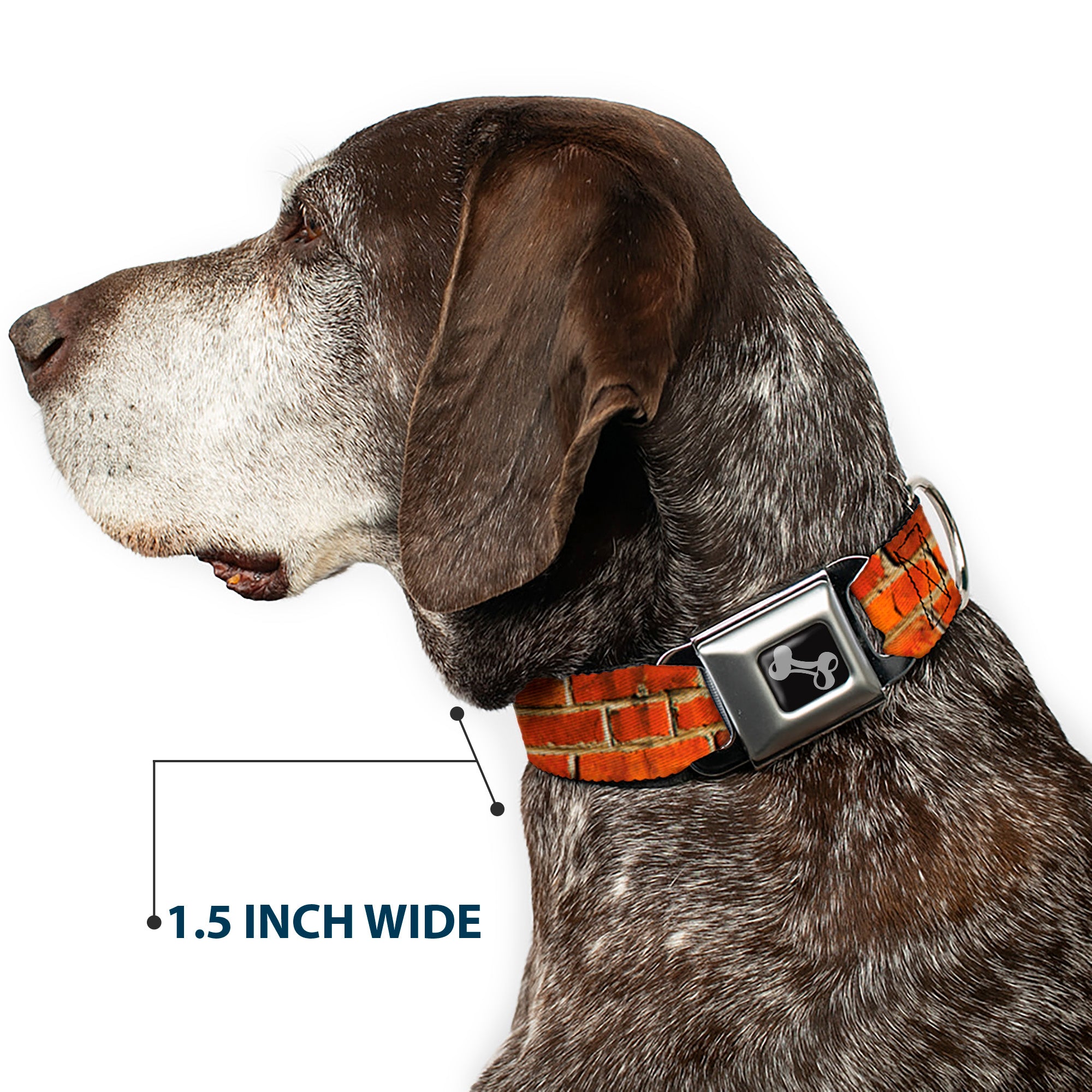 Dog Bone Black/Silver Seatbelt Buckle Collar - Brick Wall Seatbelt Buckle Collars Buckle-Down