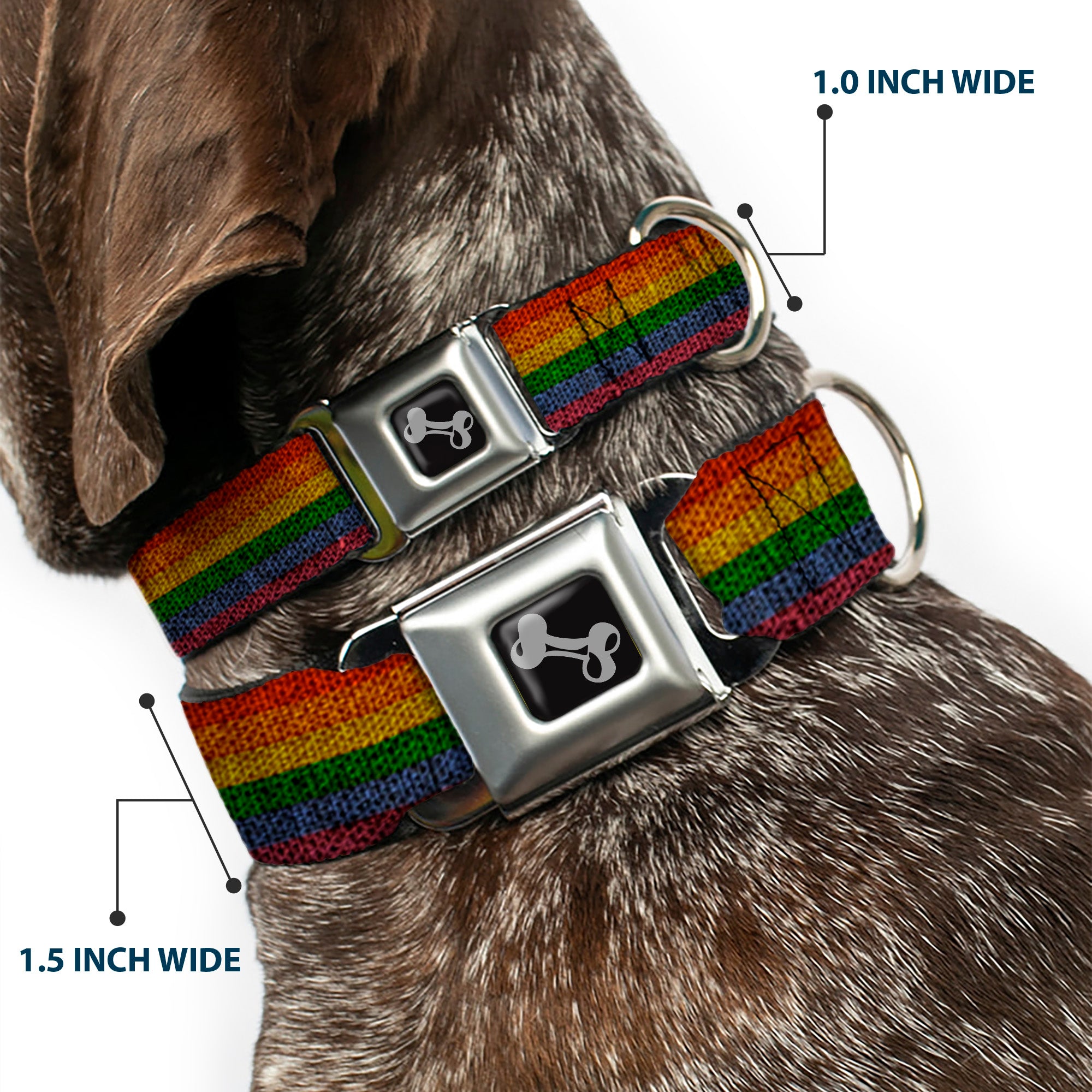 Dog Bone Black/Silver Seatbelt Buckle Collar - Burlap Texture Rainbow Seatbelt Buckle Collars Buckle-Down