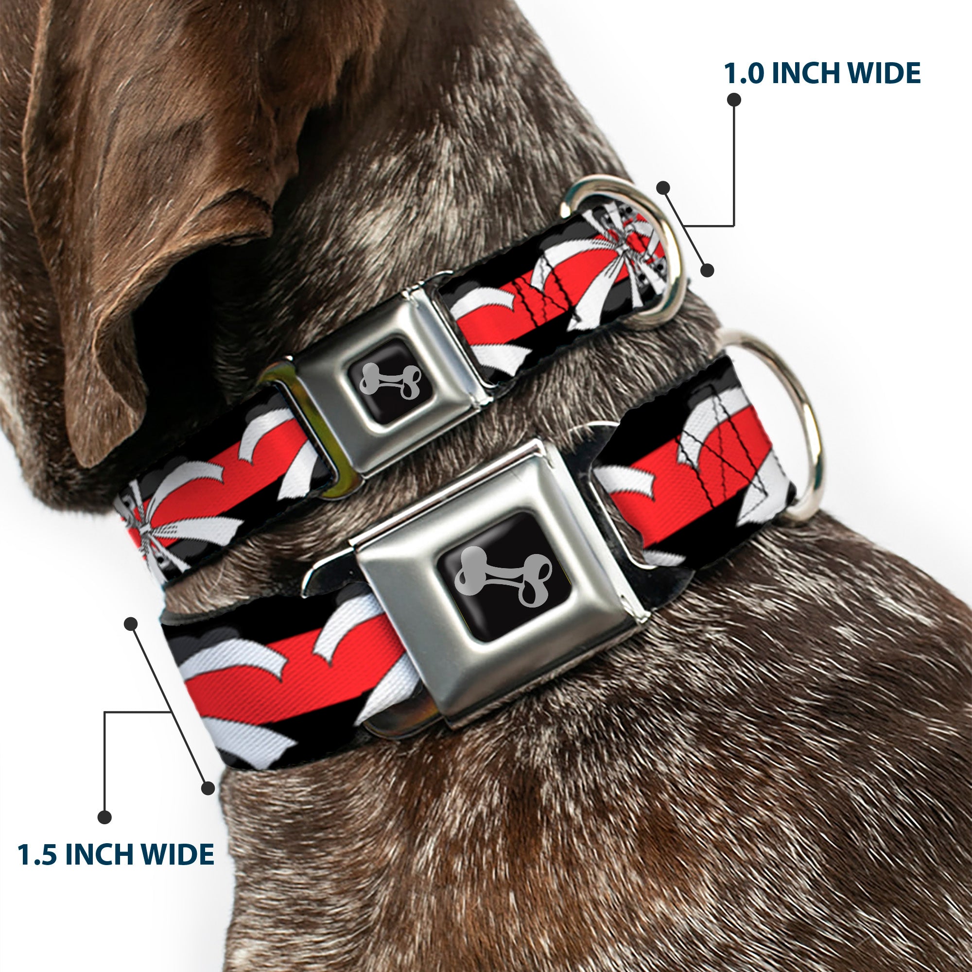 Dog Bone Seatbelt Buckle Collar - Corset Lace Up w/Bow Black/Red Seatbelt Buckle Collars Buckle-Down