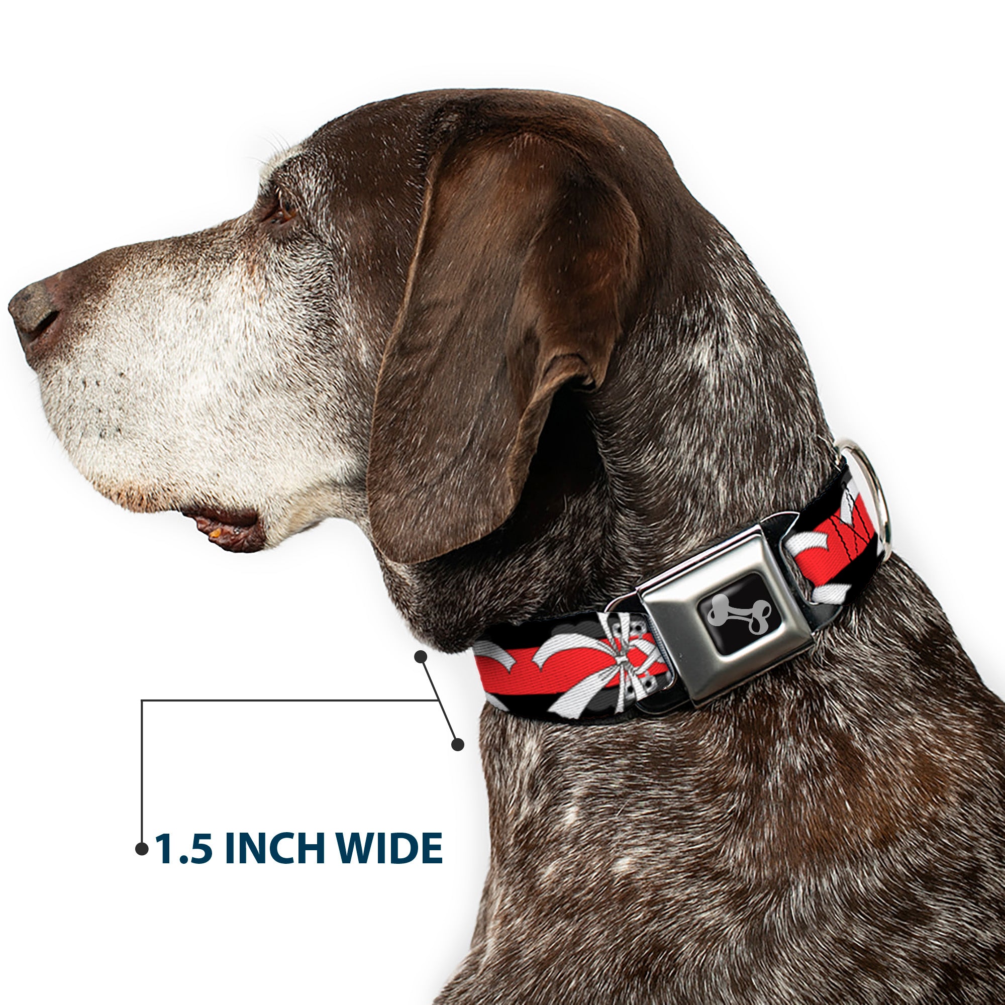Dog Bone Seatbelt Buckle Collar - Corset Lace Up w/Bow Black/Red Seatbelt Buckle Collars Buckle-Down