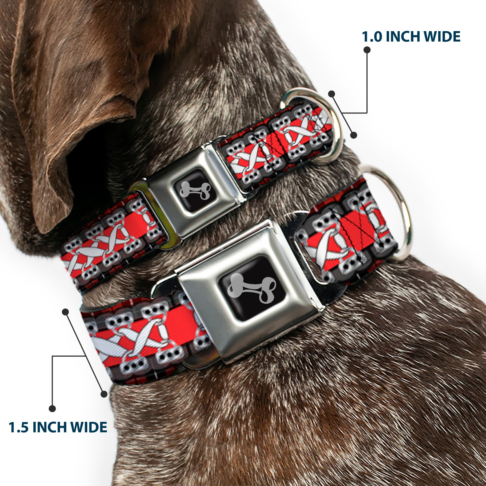 Dog Bone Seatbelt Buckle Collar - Corset Lace Up w/Bow Red Plaid/Red Seatbelt Buckle Collars Buckle-Down